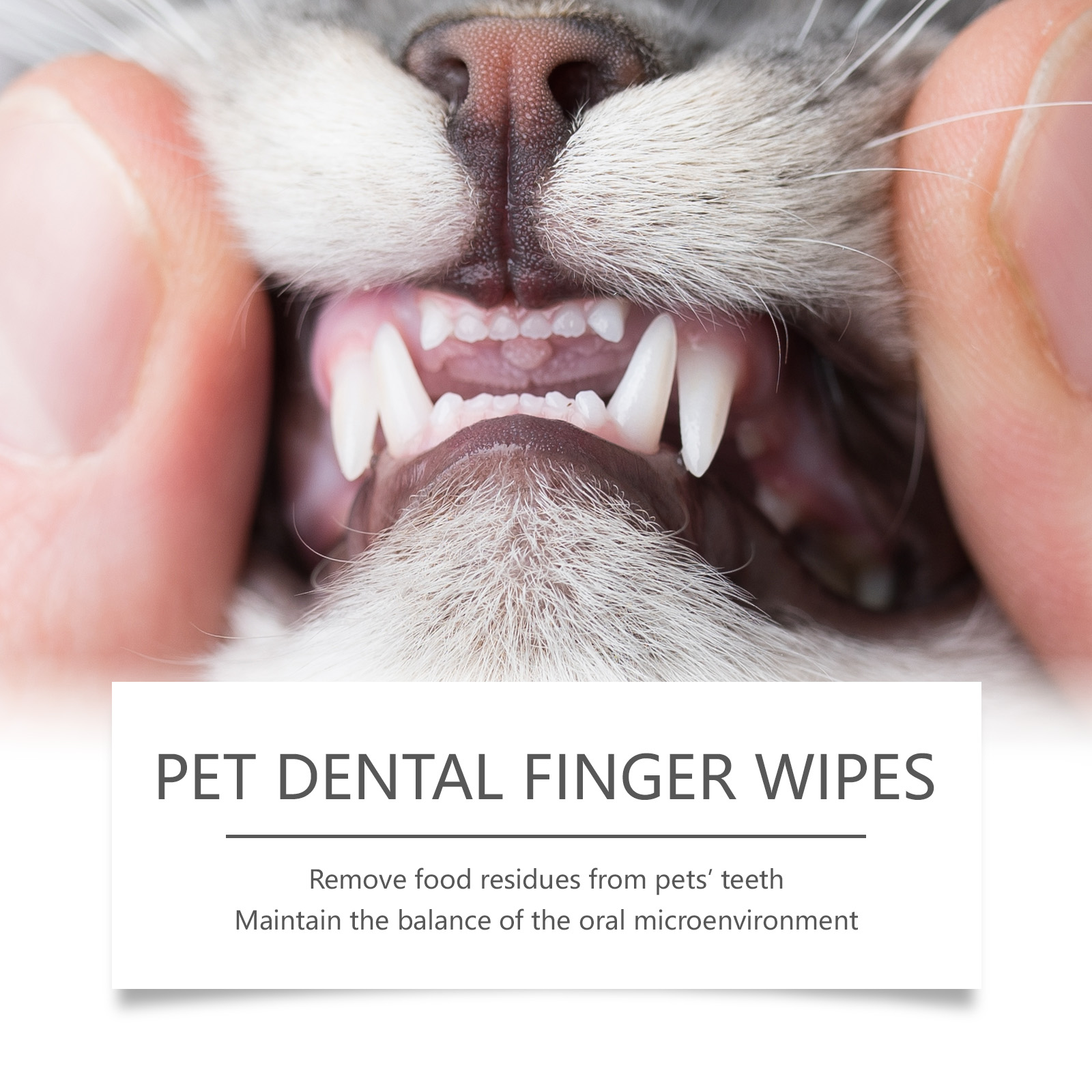 Toallitas para dedo para limpieza de dientes de perro y gato_voghion.com