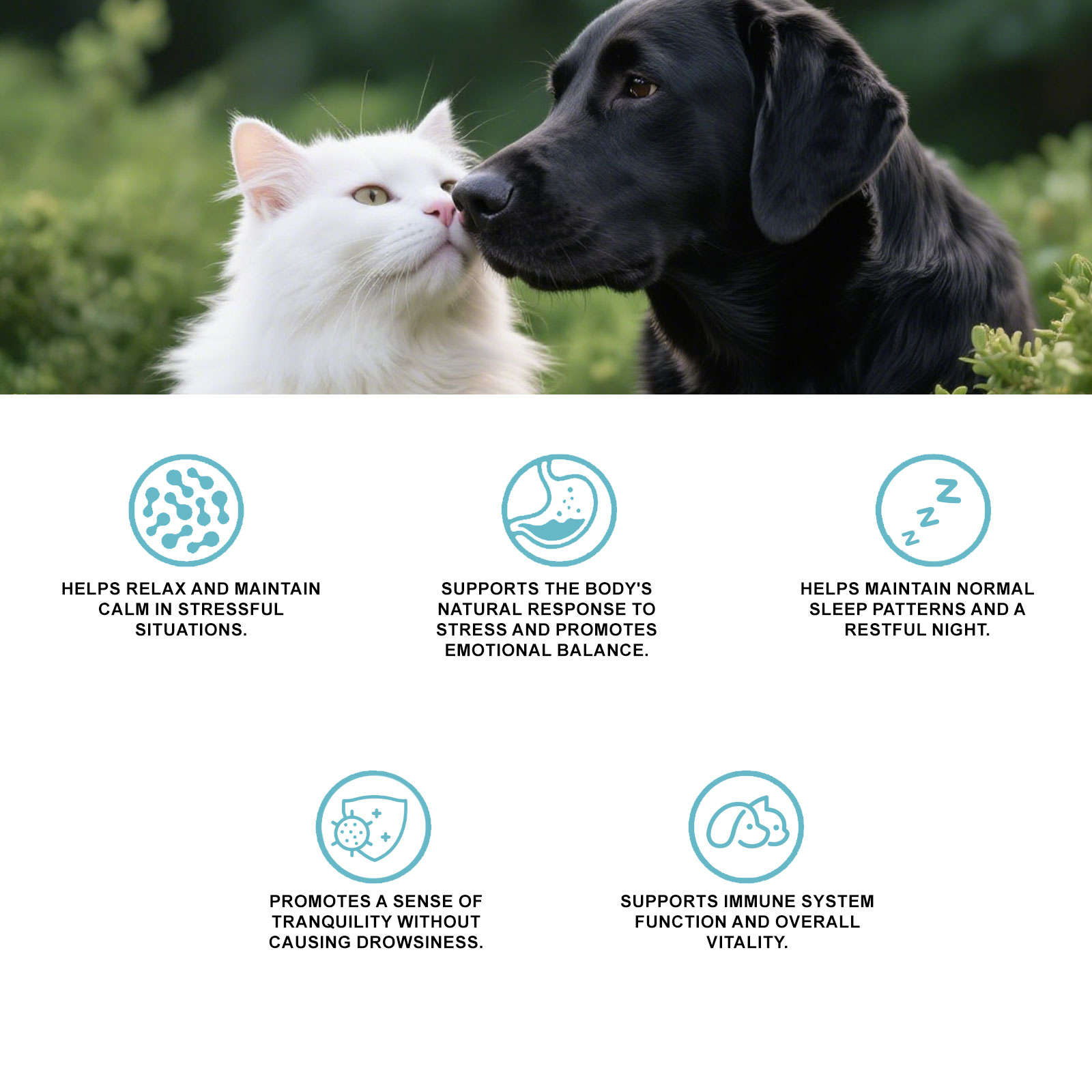 Gentle Pet Cleaning Wipes For Cats And Dogs Body Nourishing Care_voghion.com