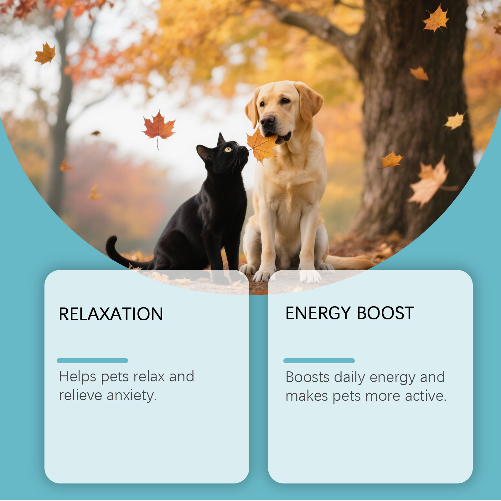 Gentle Pet Cleaning Wipes For Cats And Dogs Body Nourishing Care_voghion.com