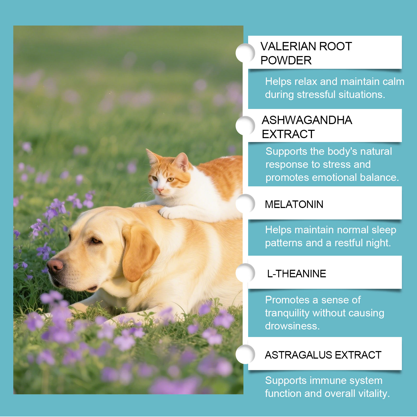 Gentle Pet Cleaning Wipes For Cats And Dogs Body Nourishing Care_voghion.com