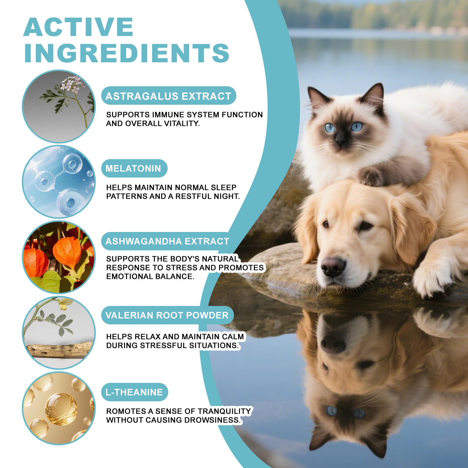 Gentle Pet Cleaning Wipes For Cats And Dogs Body Nourishing Care_voghion.com