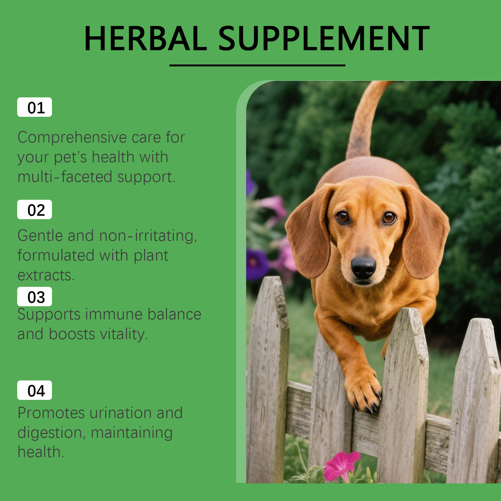 Kriath Dog Gentle, integratore nutrizionale per la cura del corpo degli animali domestici, gocce_voghion.com