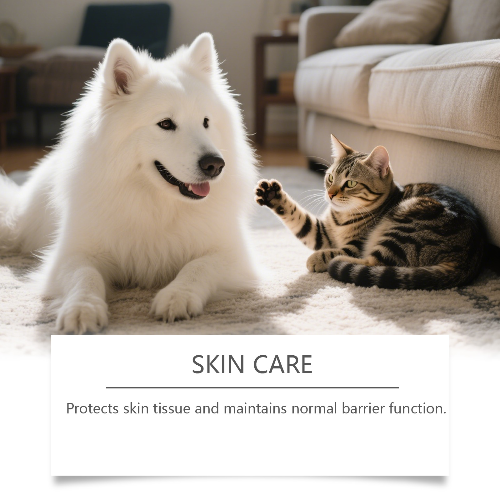 Kriath Pet - Cuidado Diário Suave para Desconforto de Pele em Animais de Estimação - Gotas Fáceis de Usar_voghion.com