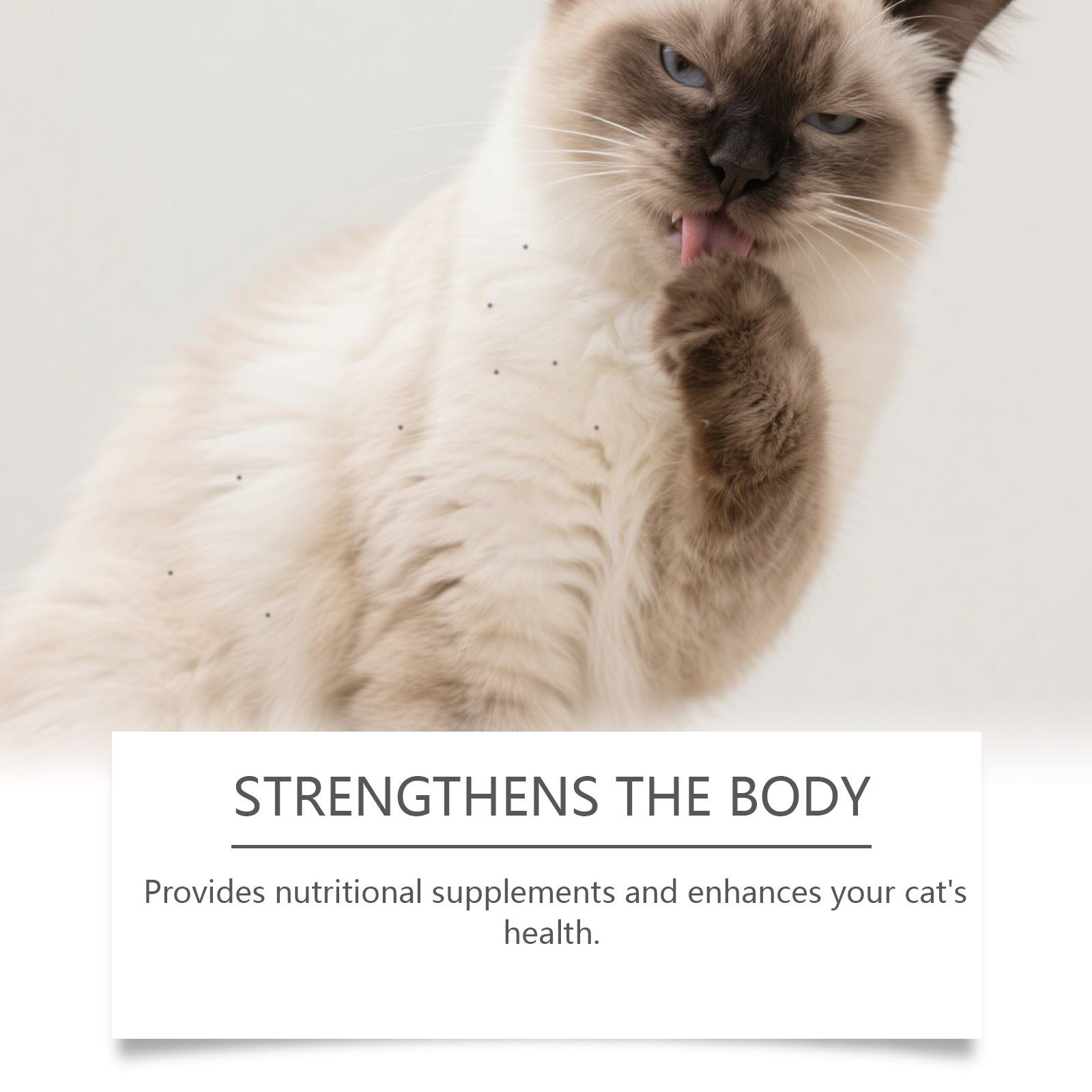 Cat Chewable Tablets For Glossy Fur And Daily Pet Skin Support_voghion.com