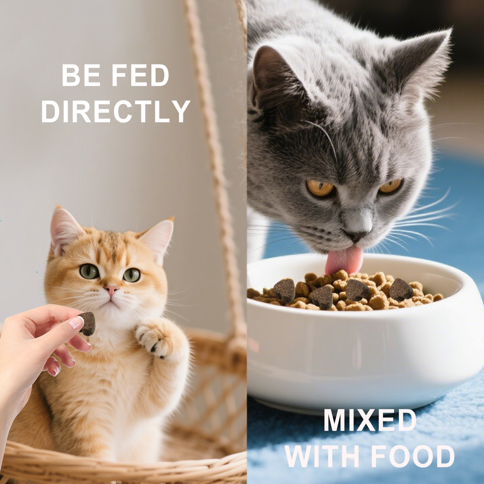 Cat Chewable Tablets For Glossy Fur And Daily Pet Skin Support_voghion.com
