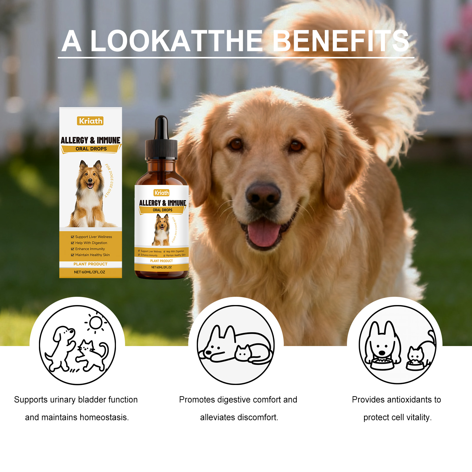 Suplementos herbales para perros vitalidad y confort corporal_voghion.com