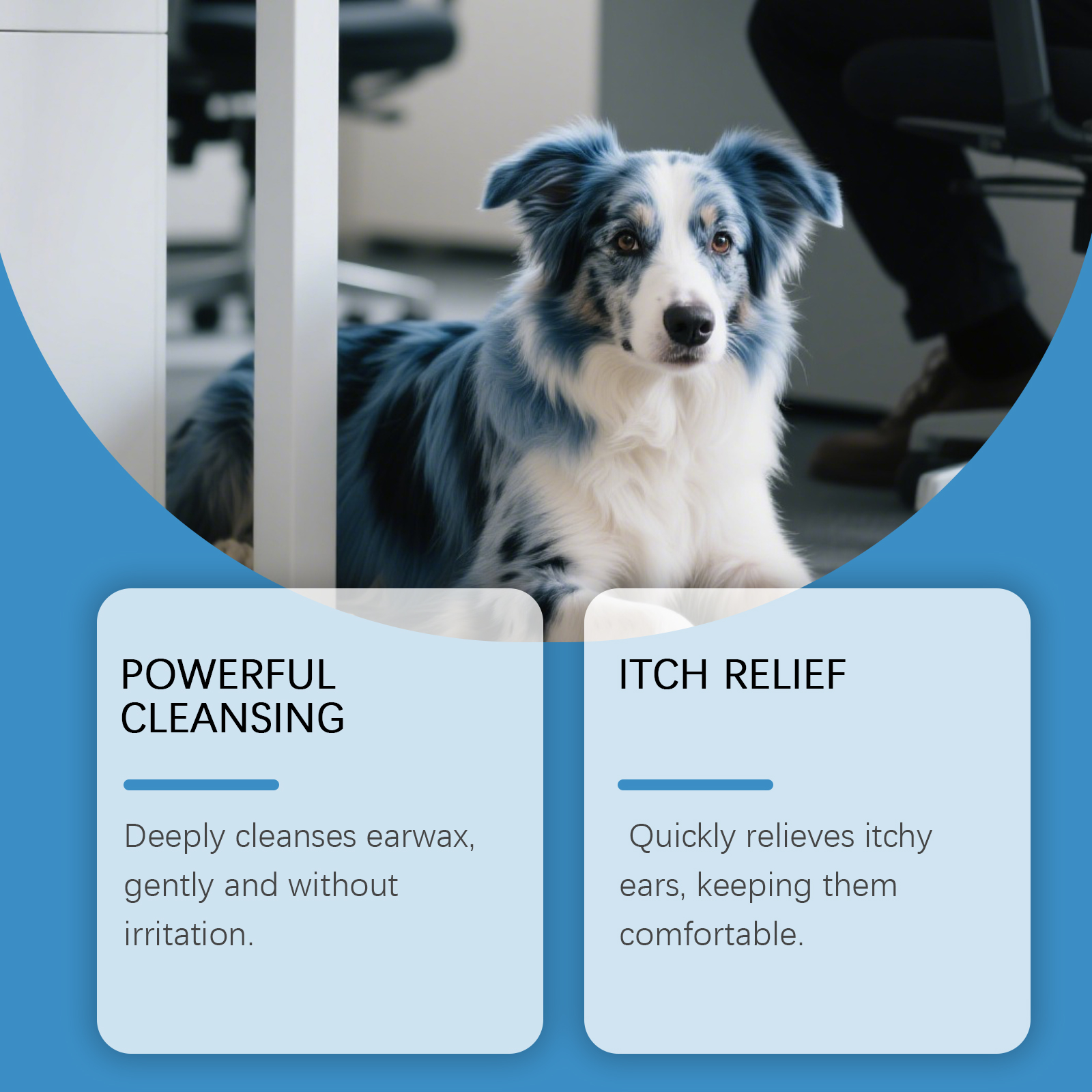 EelJoy Pet Gentle Formula Cleans Earwax Odor Ear Refreshing Daily Care Agent_voghion.com