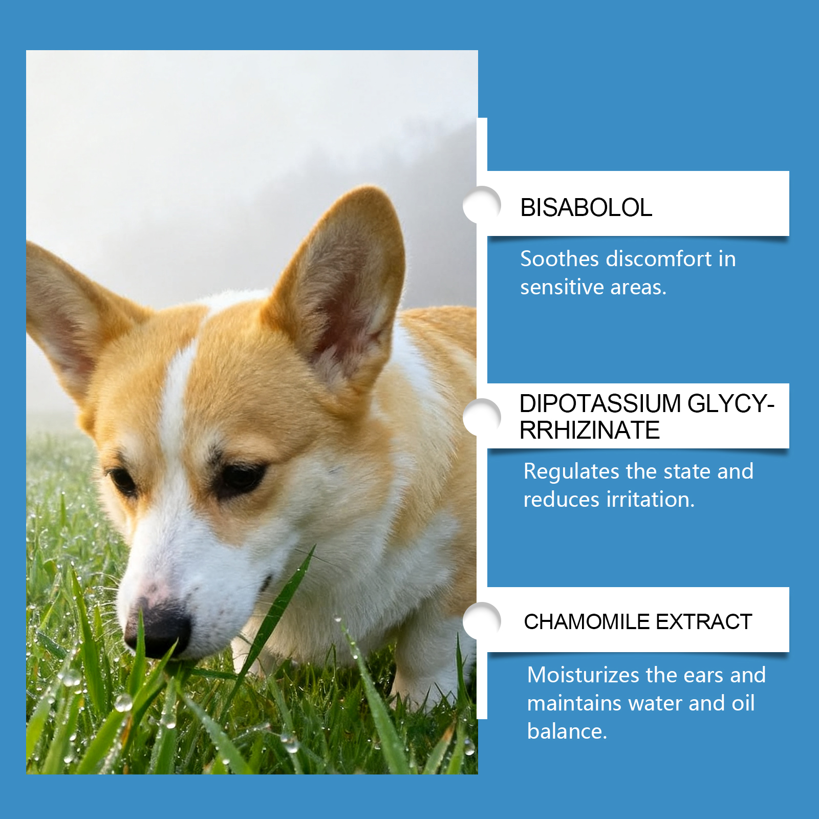 EelJoy Pet Gentle Formula Cleans Earwax Odor Ear Refreshing Daily Care Agent_voghion.com