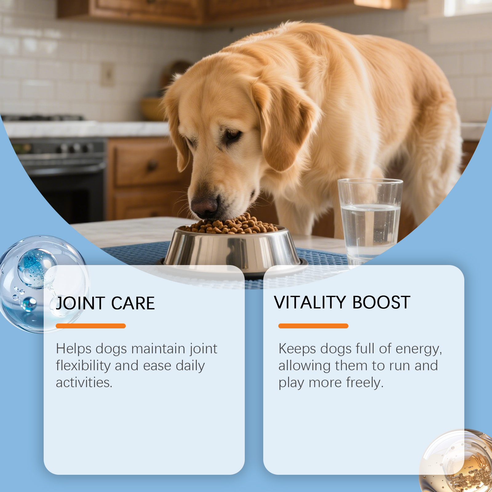 Complément alimentaire kriath pour articulations du chien_voghion.com