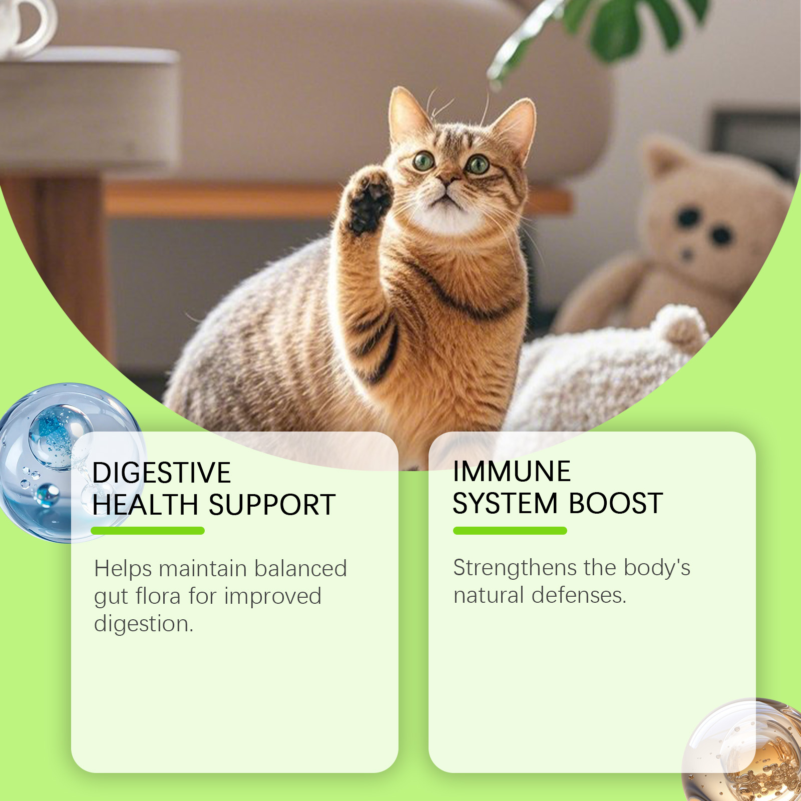 Probiotische druppels voor katten ondersteuning darmflora_voghion.com