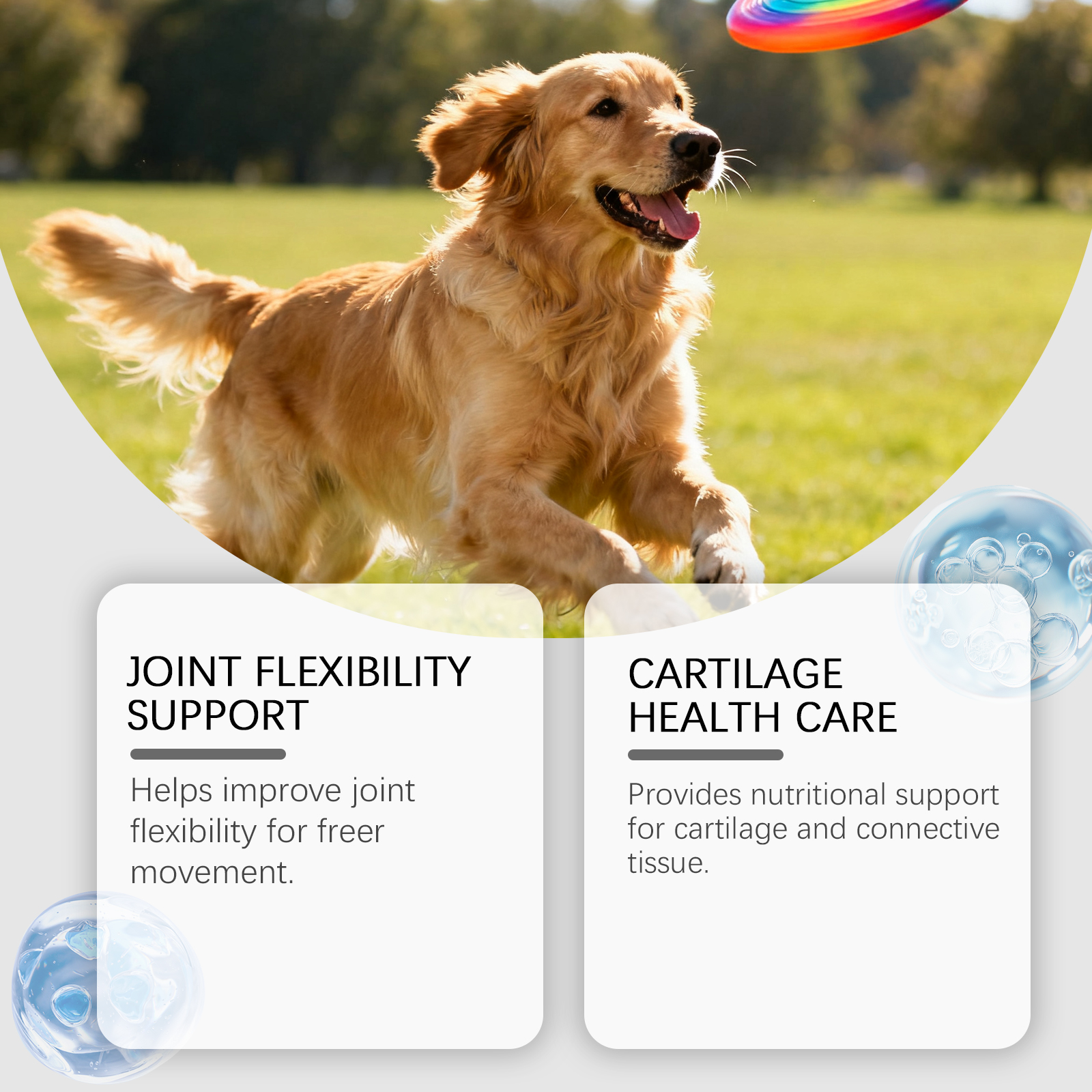 Kriath Dog Soft Granules: milde ingrediënten voor dagelijkse gewrichtsverzorging bij honden._voghion.com