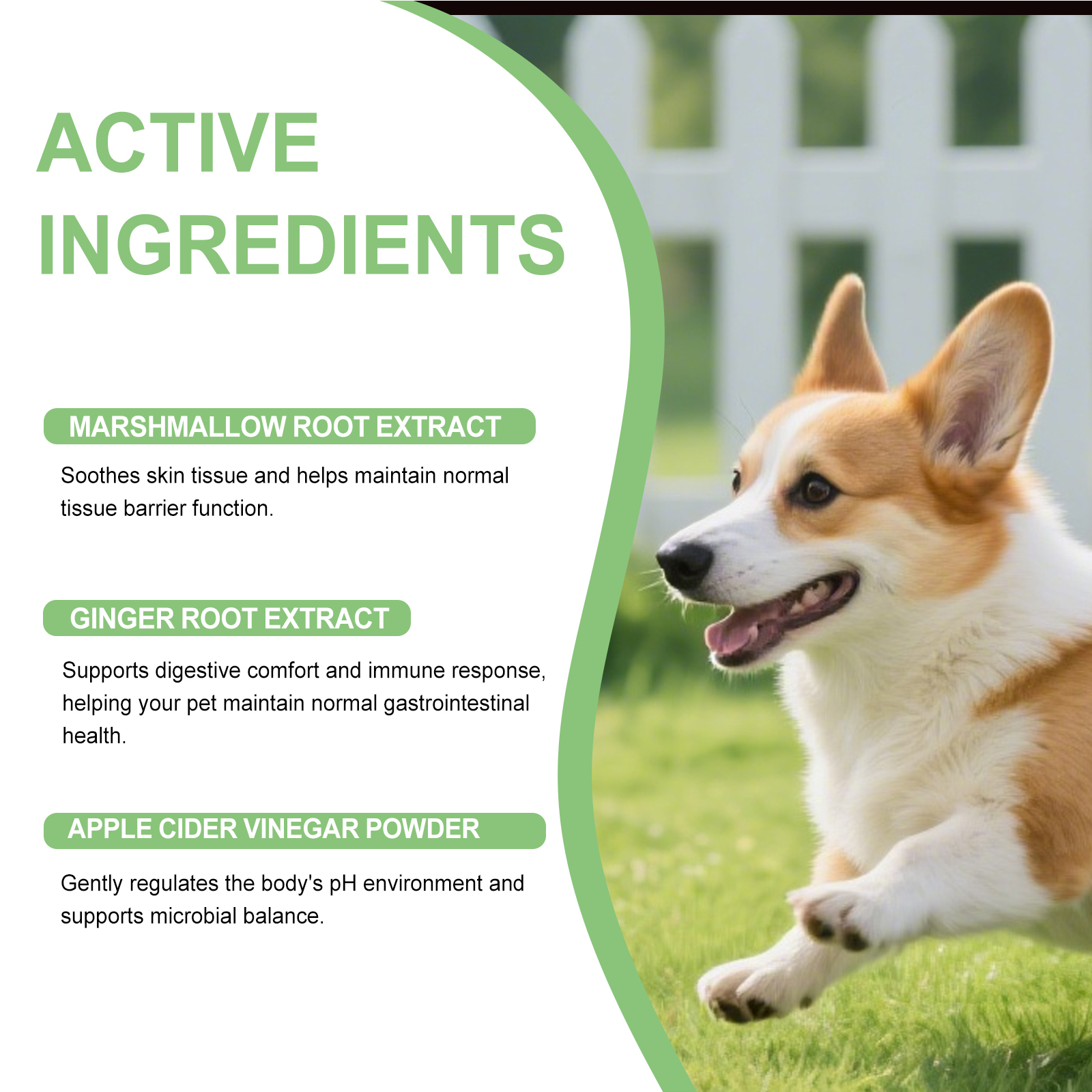 Formula erboristica per cani detergente delicato nutriente pelo_voghion.com
