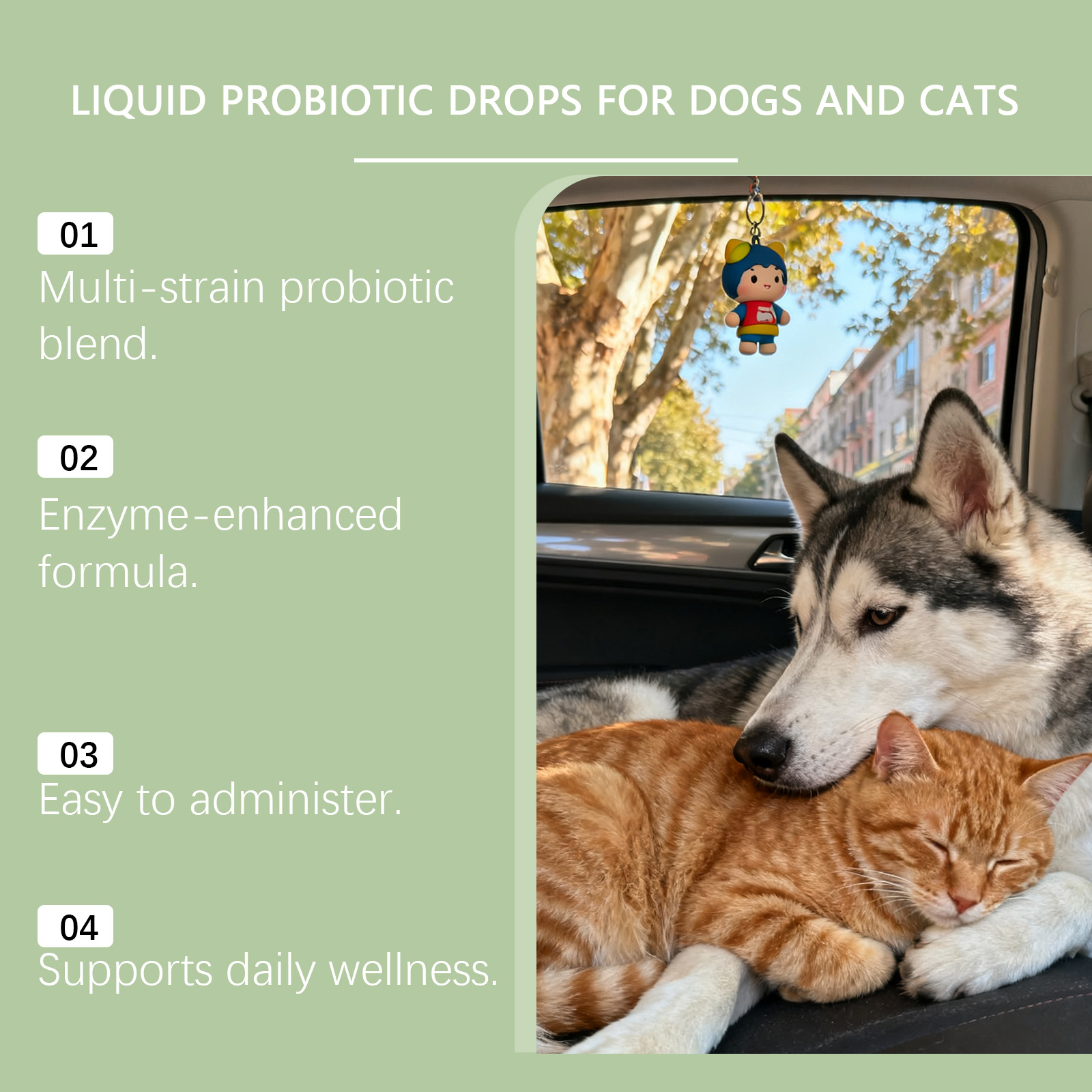 Gotas probióticas líquidas para perros y gatos digestión_voghion.com