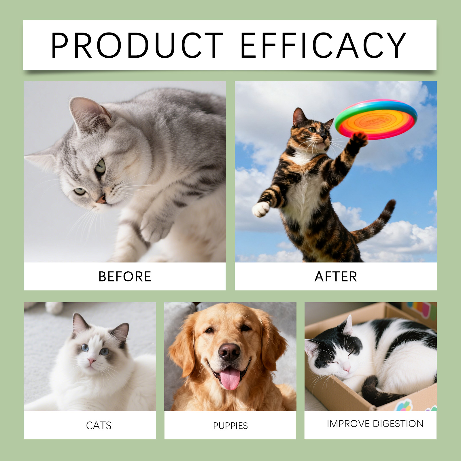 Gotas probióticas líquidas para perros y gatos digestión_voghion.com