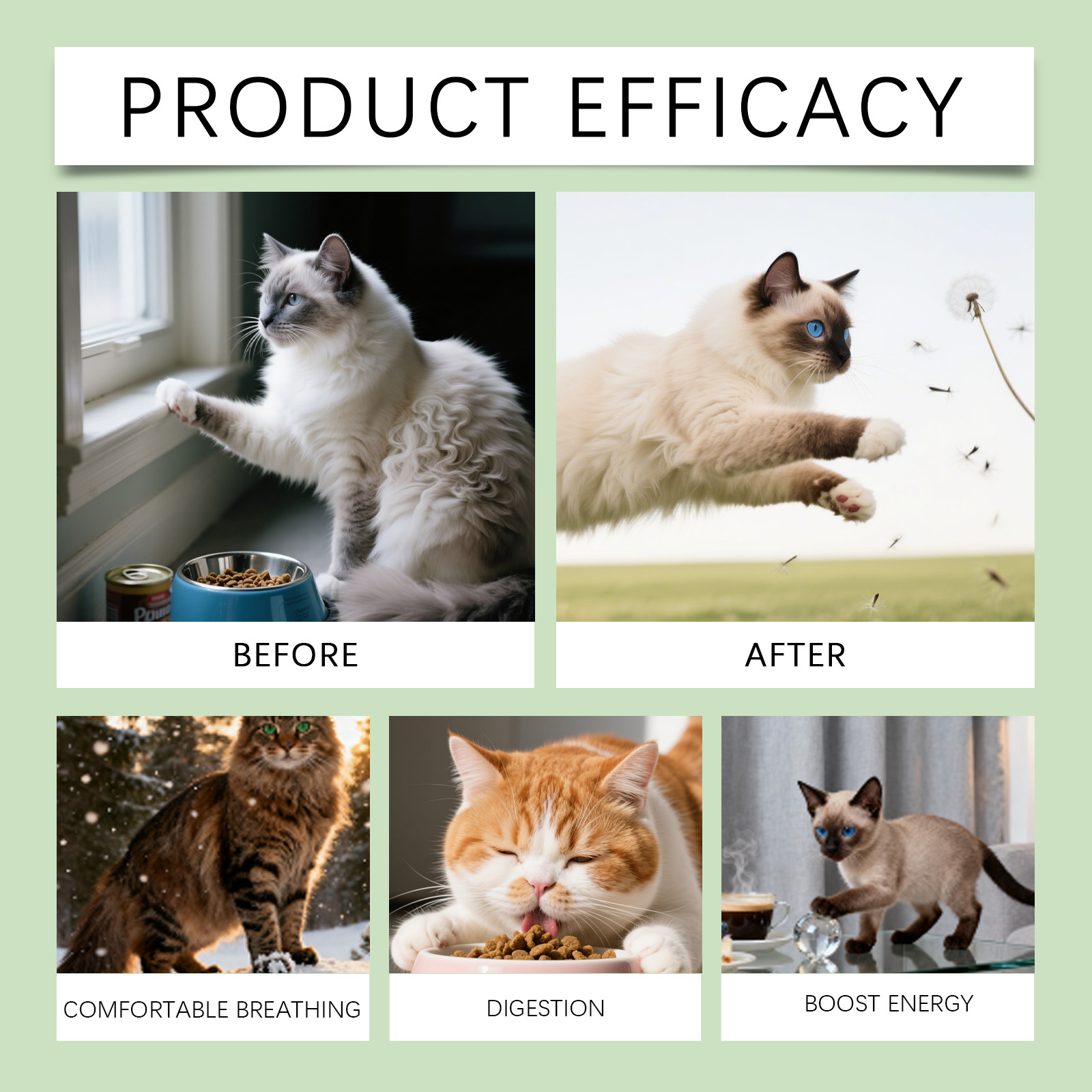 Kriath Cat Digestive Health Drops Gentle Nutrient Absorption Aid_voghion.com