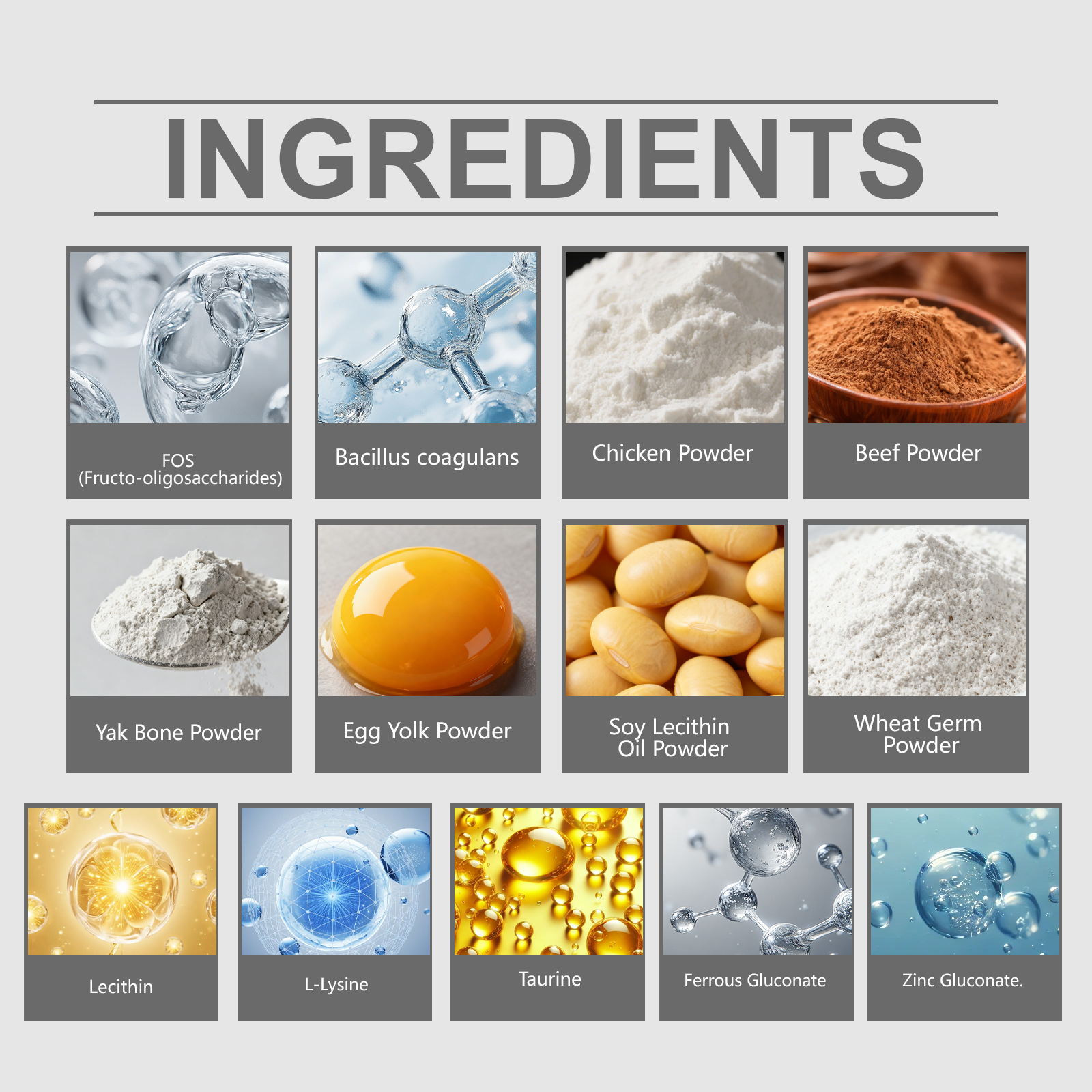 Probiotiques pour chiens support digestion et vitalité quotidien_voghion.com