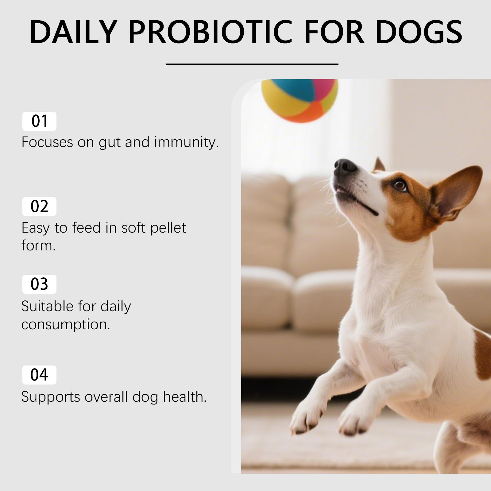 Probiotiques pour chiens support digestion et vitalité quotidien_voghion.com