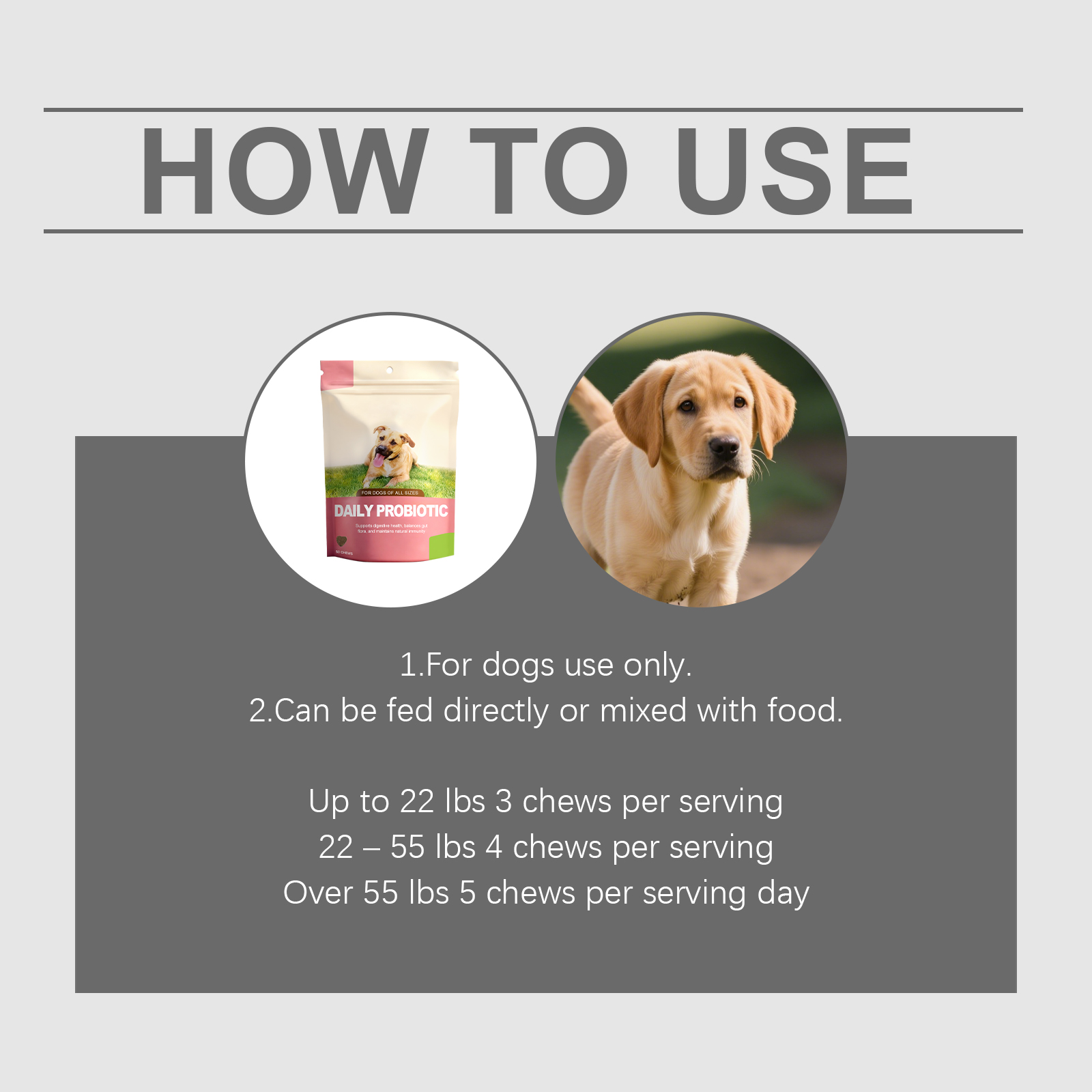 Probiotiques pour chiens support digestion et vitalité quotidien_voghion.com