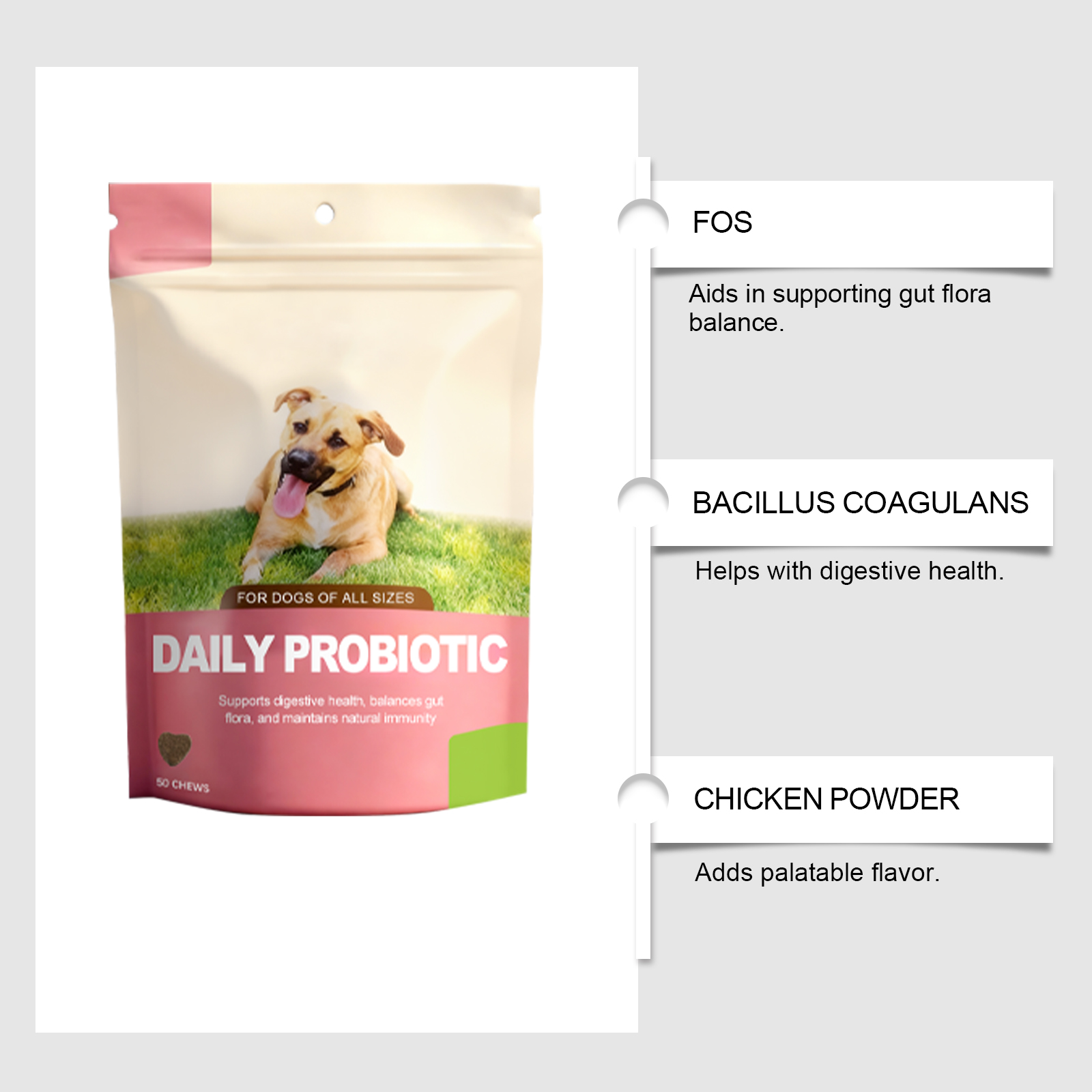 Probiotiques pour chiens support digestion et vitalité quotidien_voghion.com