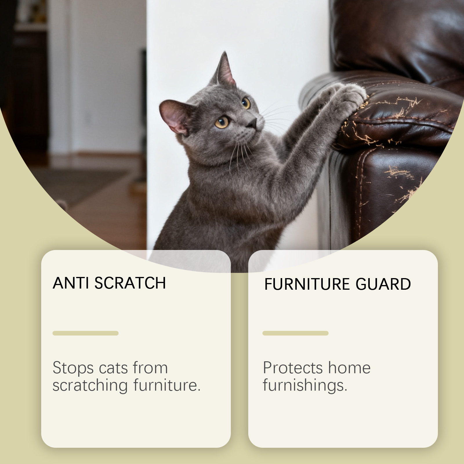 Spray anti-griffe pour chats protection meubles doux non irritant_voghion.com