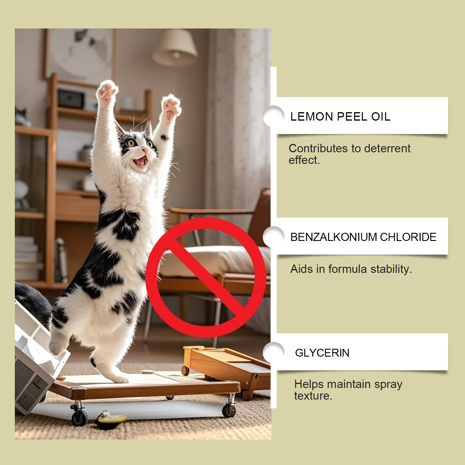 Spray anti-griffe pour chats protection meubles doux non irritant_voghion.com