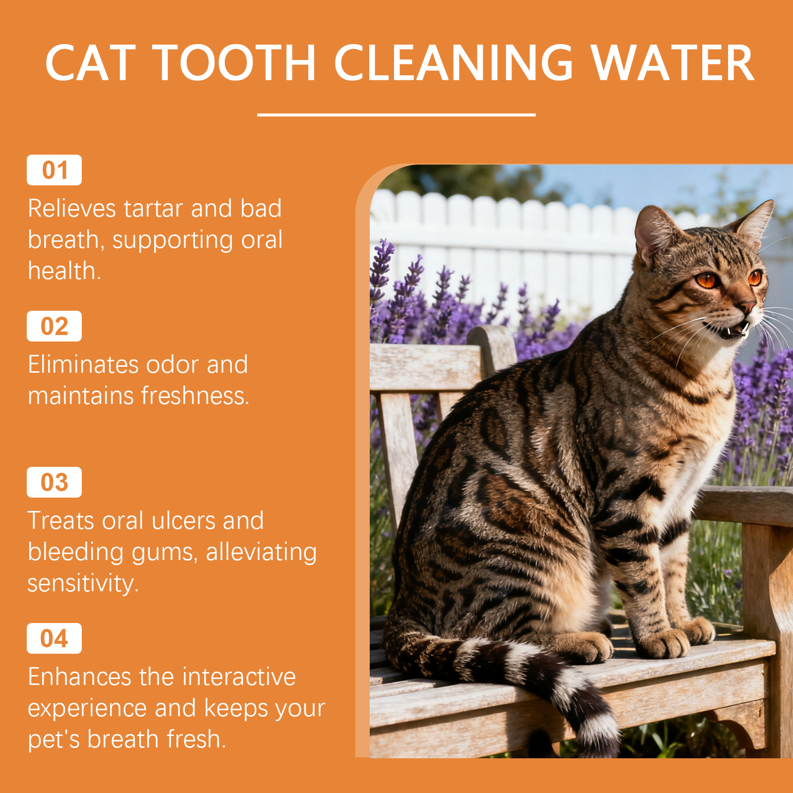 Tägliches Mundwasser Für Katzen Zur Zahnstein- Und Geruchsbekämpfung_voghion.com