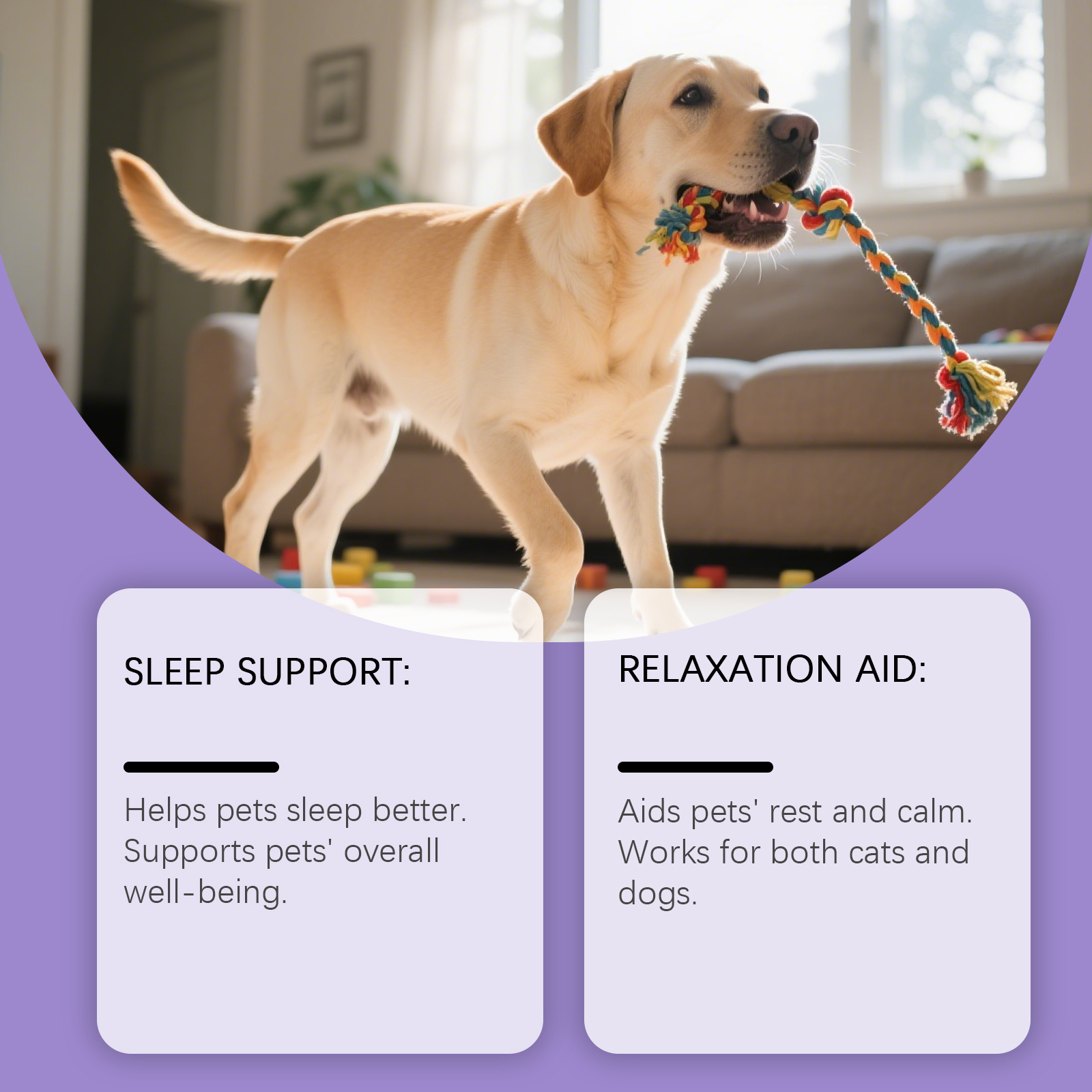 Gentle Dog Bed For Comfortable Sleep Suitable For All Life Stages_voghion.com
