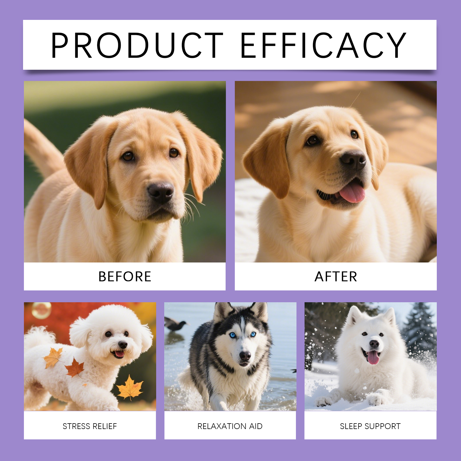 Gentle Dog Bed For Comfortable Sleep Suitable For All Life Stages_voghion.com