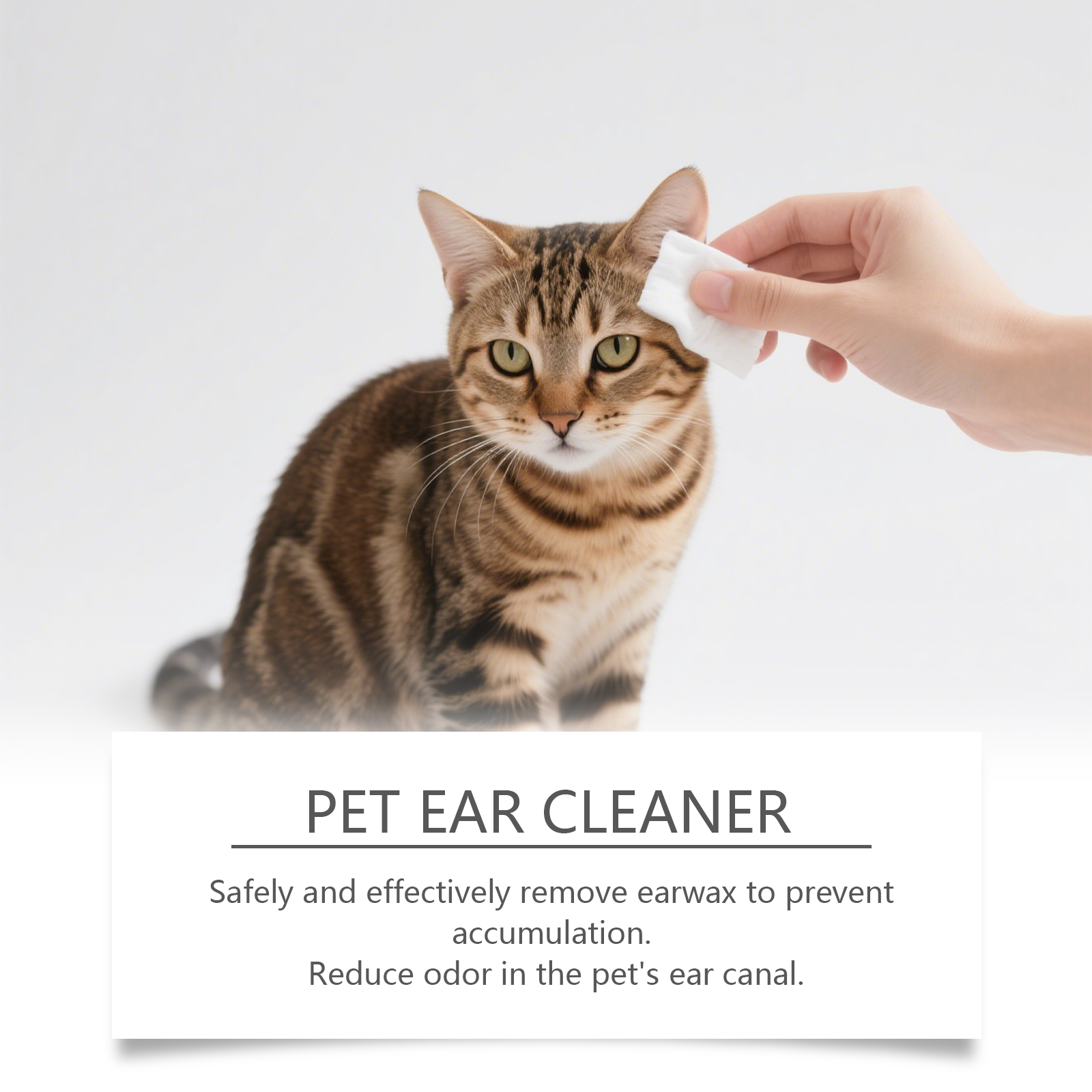 Solution de nettoyage douce pour les oreilles de chien et chat_voghion.com