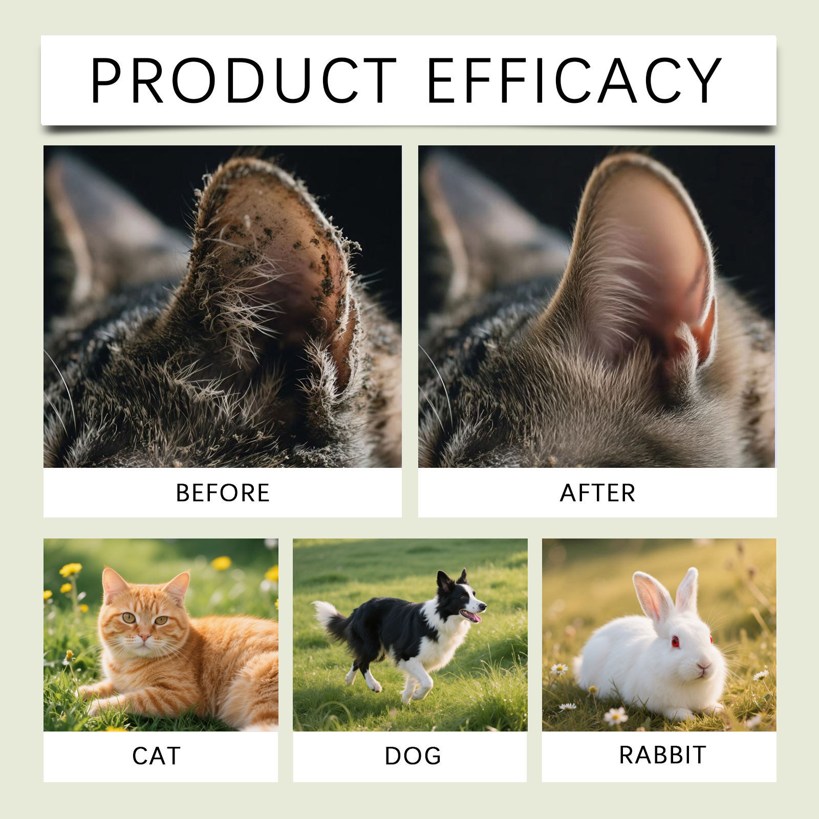 Solution de nettoyage douce pour les oreilles de chien et chat_voghion.com