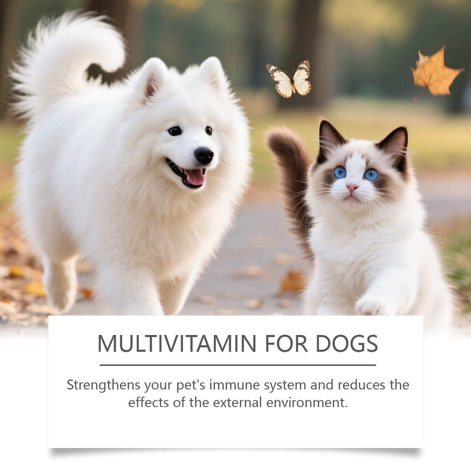 Multivitamin Drops For Cats And Dogs Joint Support And Immunity_voghion.com