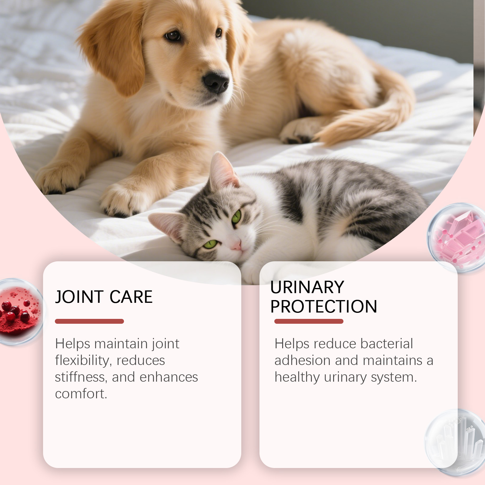 Multivitamin Drops For Cats And Dogs Joint Support And Immunity_voghion.com