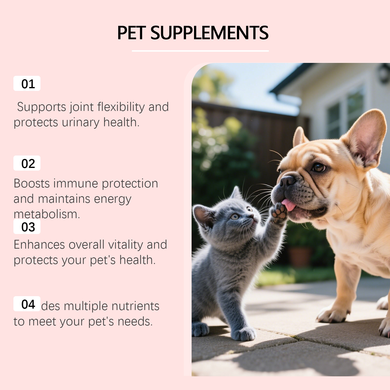 Multivitamin Drops For Cats And Dogs Joint Support And Immunity_voghion.com