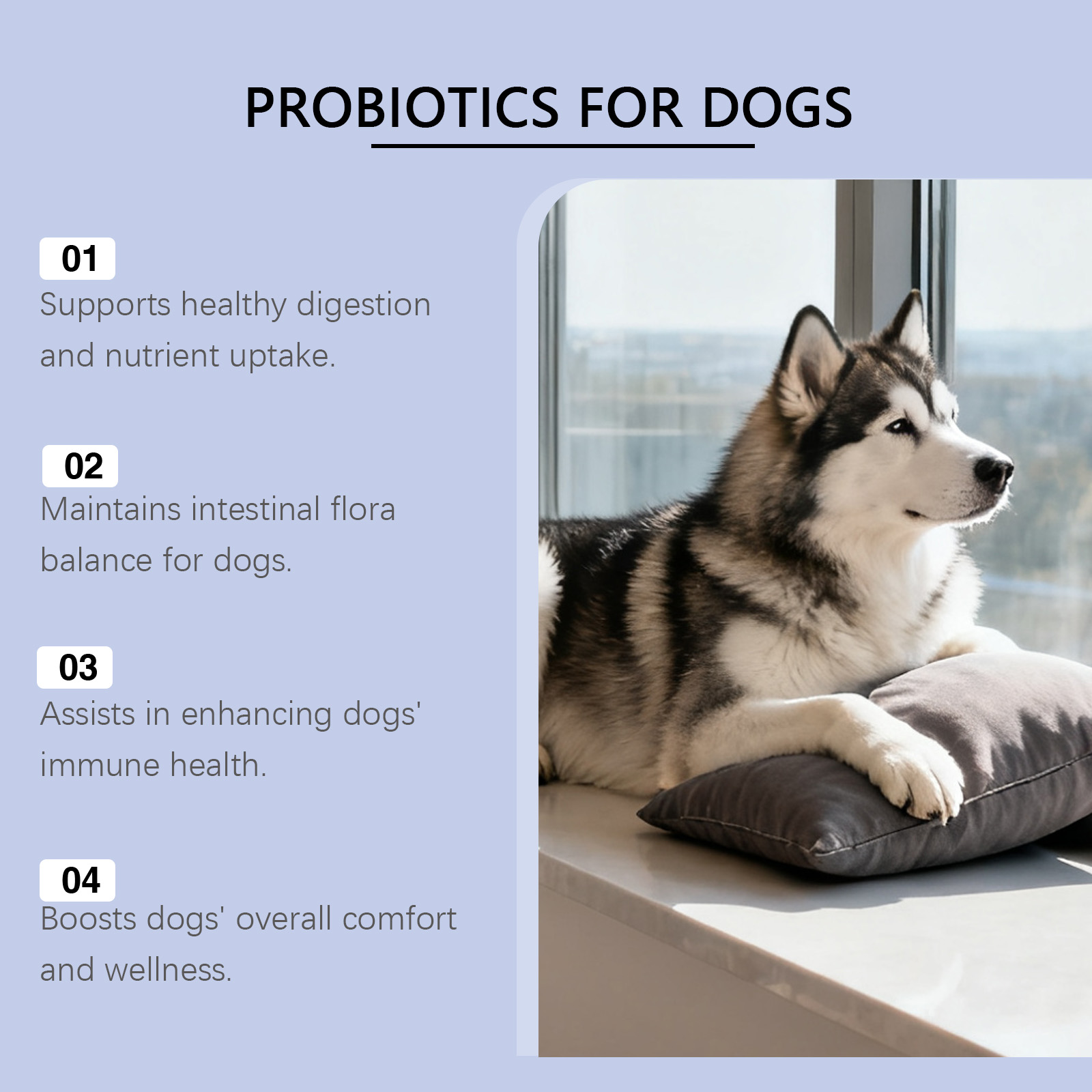 Kriath Probiotic Soft Chews For Dogs Gentle Digestive Support_voghion.com