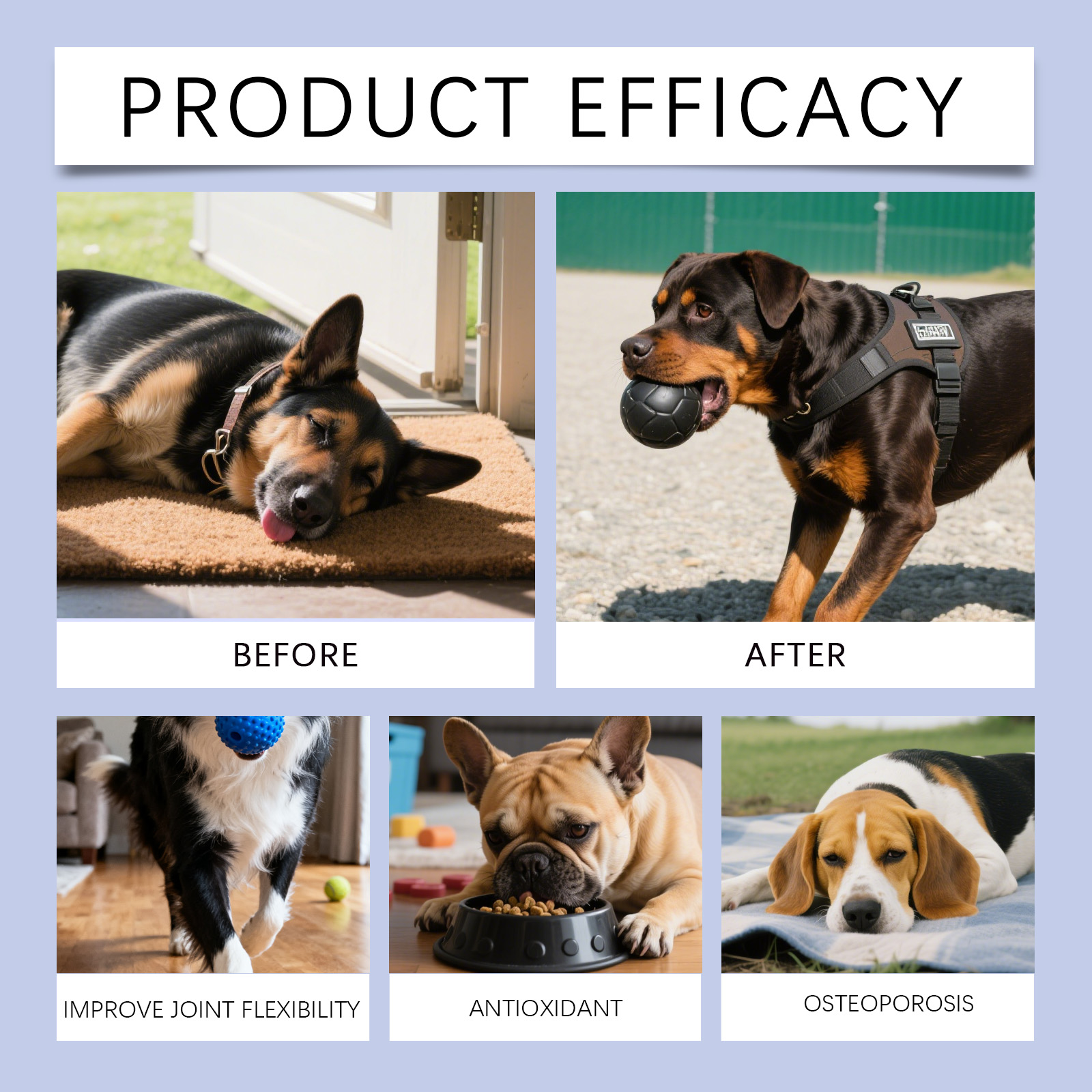 Kriath Probiotic Soft Chews For Dogs Gentle Digestive Support_voghion.com