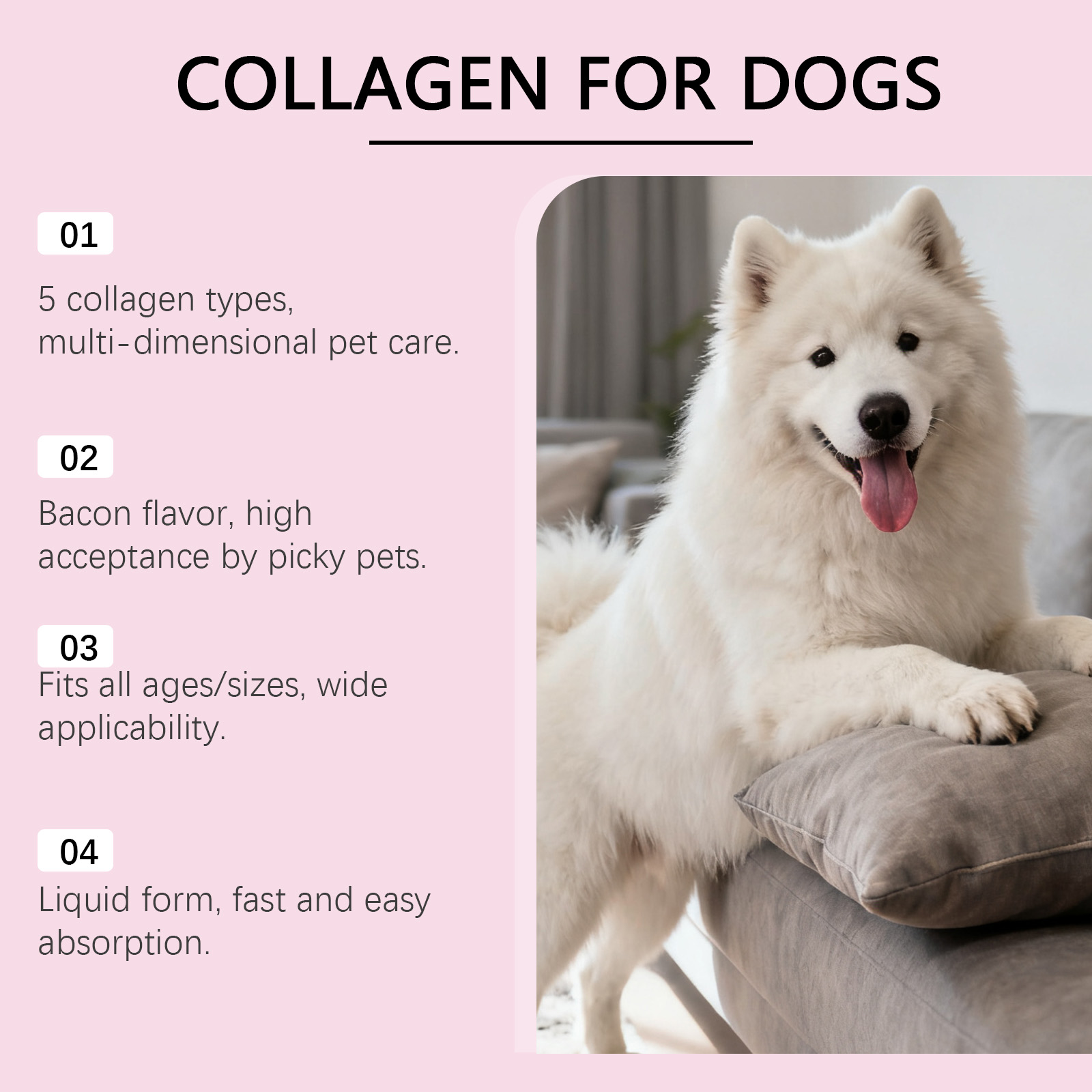 Kriath gotas de colágeno para perros cuidado articular y pelo_voghion.com