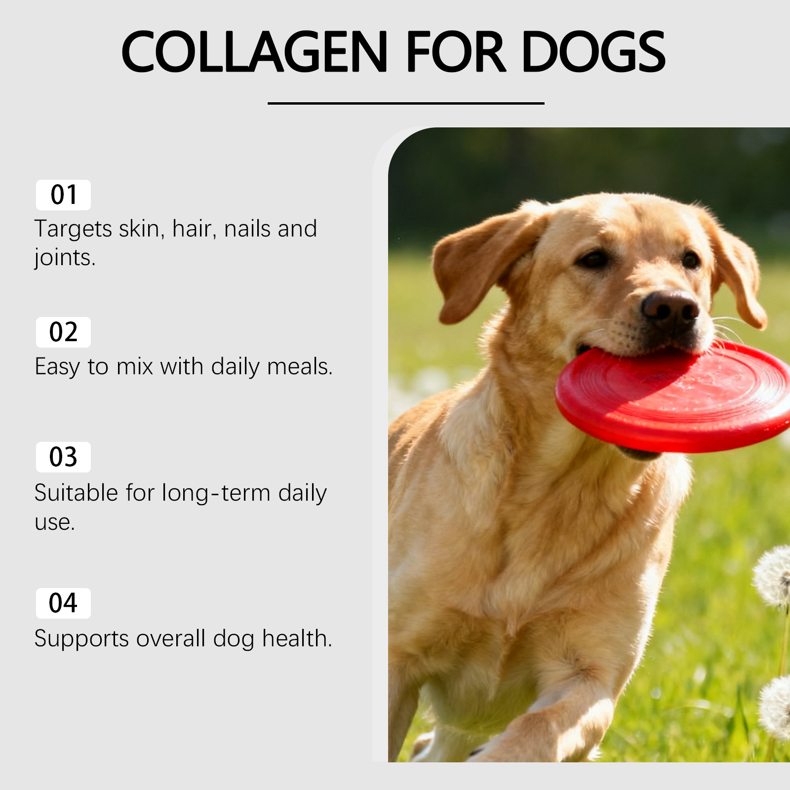 Kriath collageen gewrichtsondersteuning voor honden druppels_voghion.com