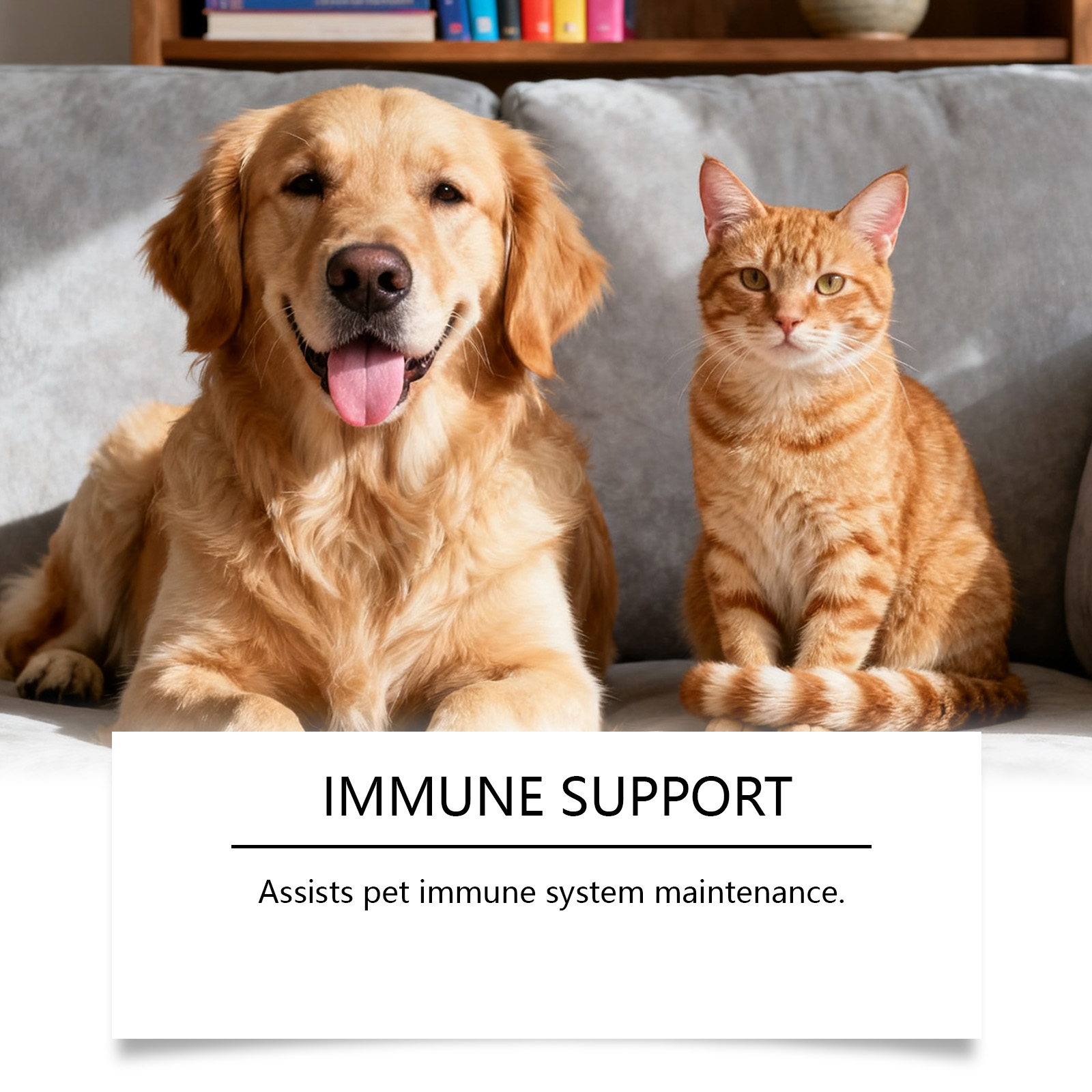 Vloeibare collageen druppels voor honden en katten supplement_voghion.com