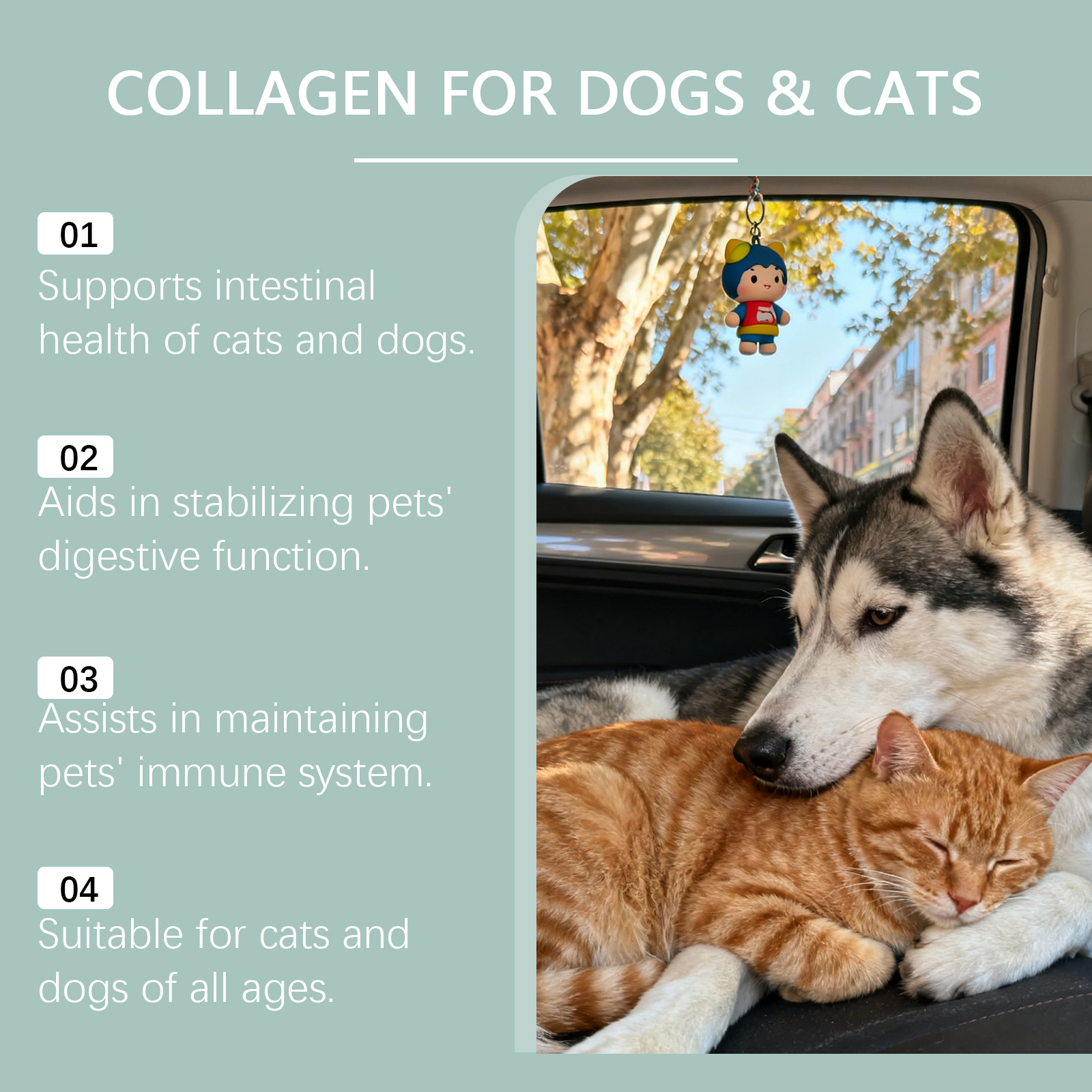 Vloeibare collageen druppels voor honden en katten supplement_voghion.com