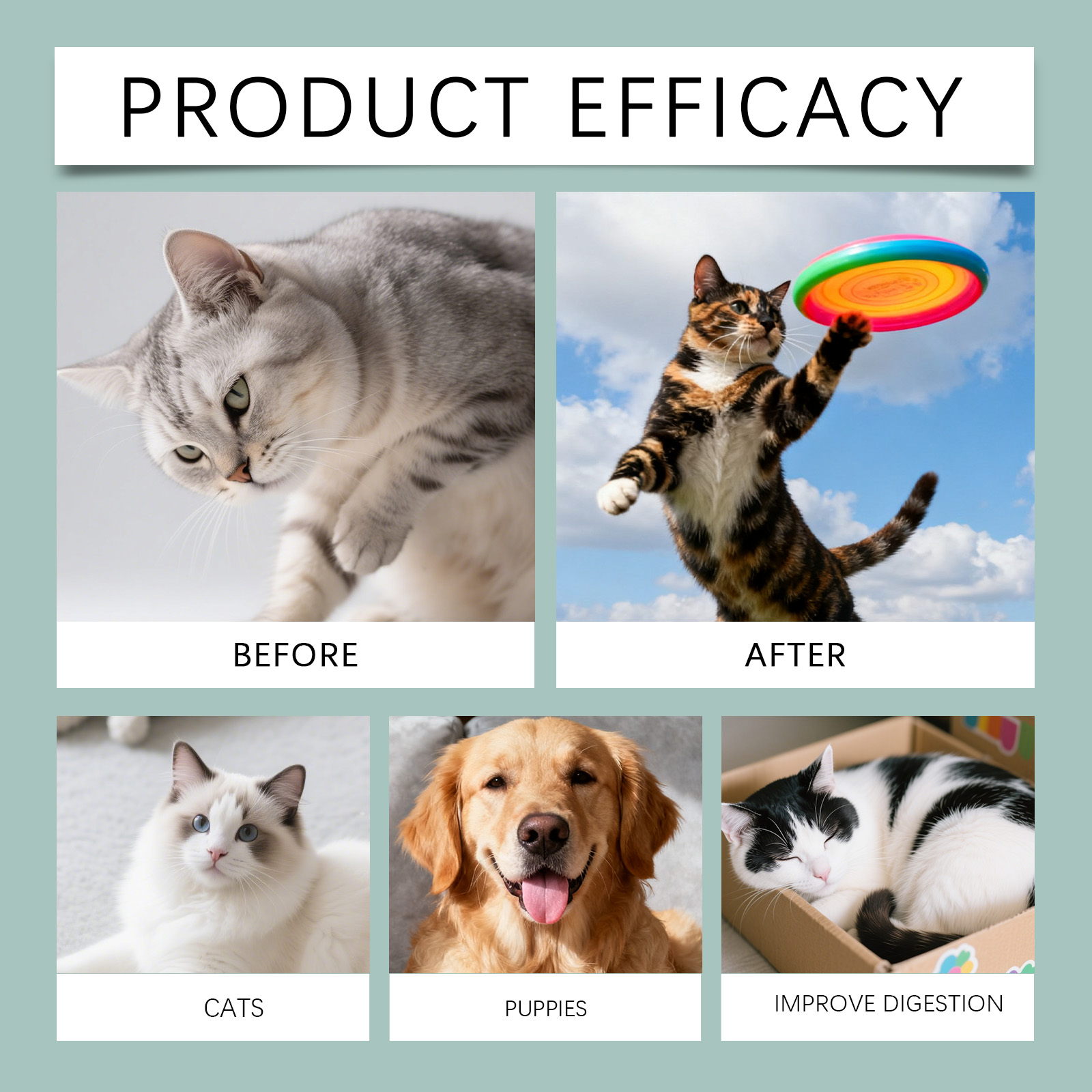 Vloeibare collageen druppels voor honden en katten supplement_voghion.com