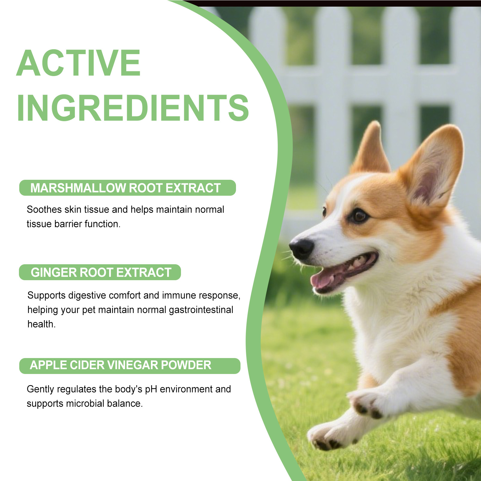 Kriath Cuidado Suave para o Corpo e a Pele do Seu Cão - Suplemento Diário em Gotas, Confortável e Ideal para o Cuidado da Pele._voghion.com