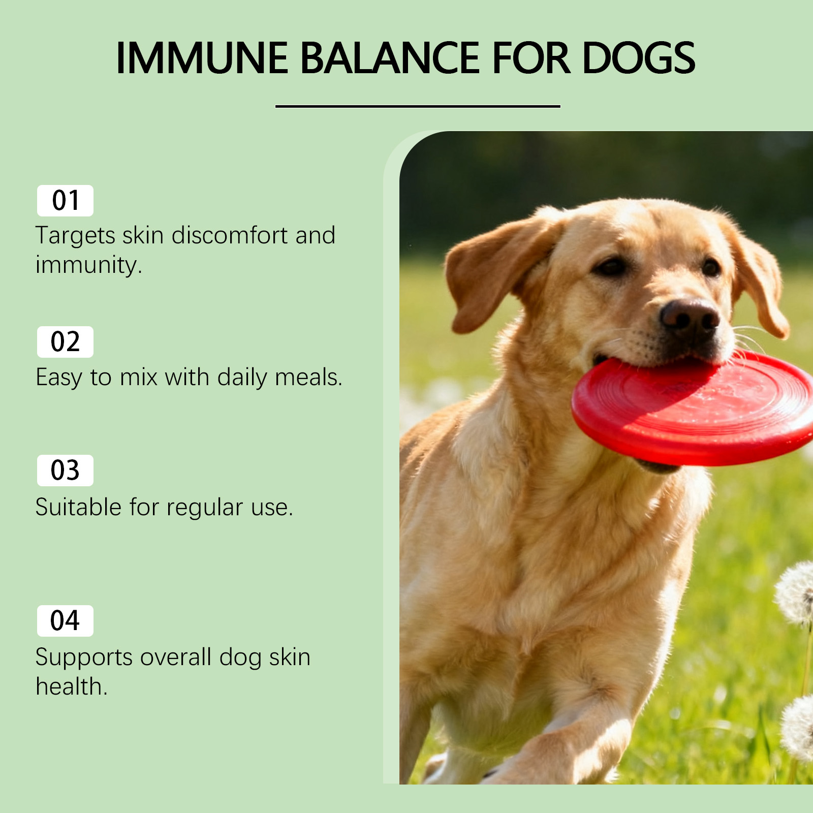 Kriath Cuidado Suave para o Corpo e a Pele do Seu Cão - Suplemento Diário em Gotas, Confortável e Ideal para o Cuidado da Pele._voghion.com