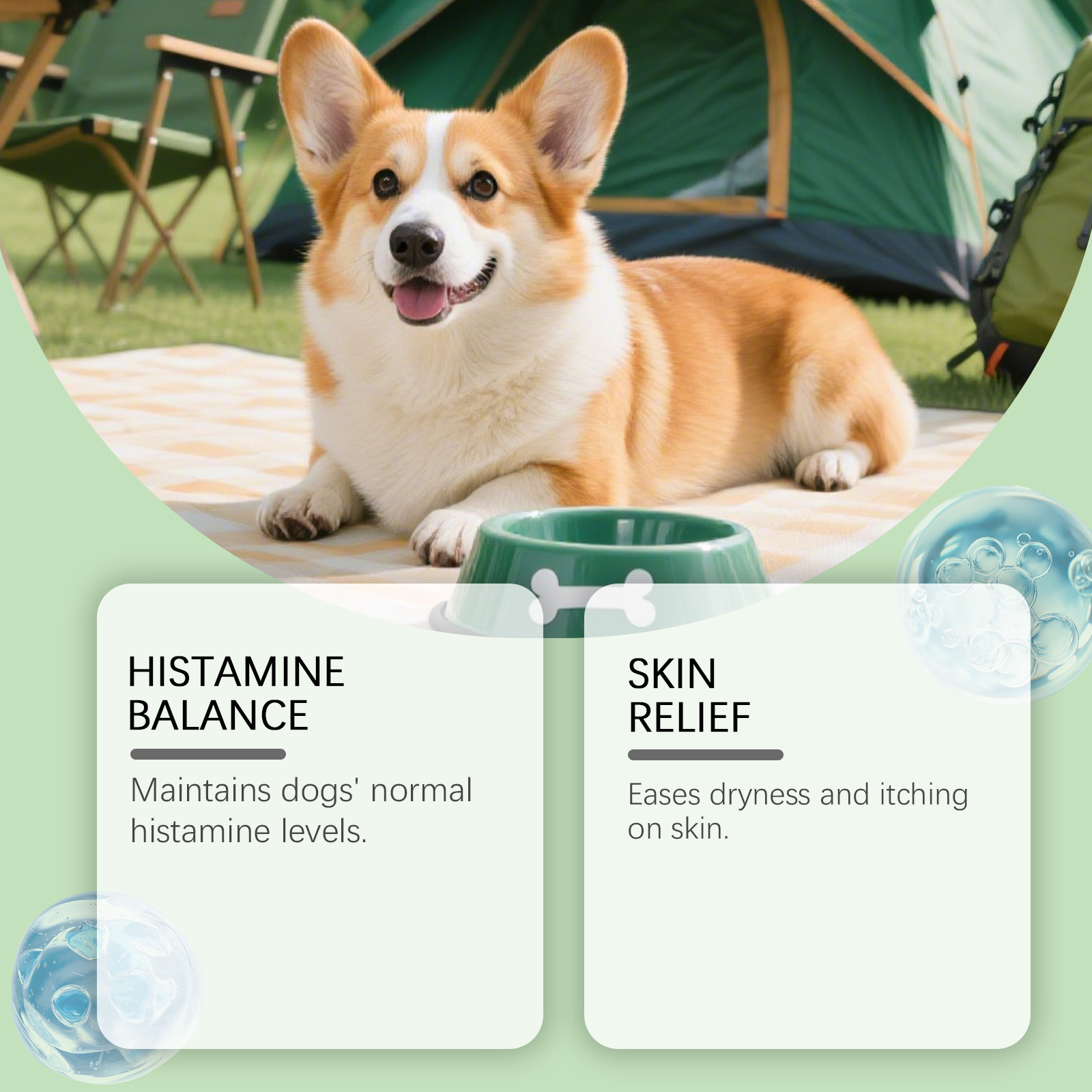 Kriath Cuidado Suave para o Corpo e a Pele do Seu Cão - Suplemento Diário em Gotas, Confortável e Ideal para o Cuidado da Pele._voghion.com