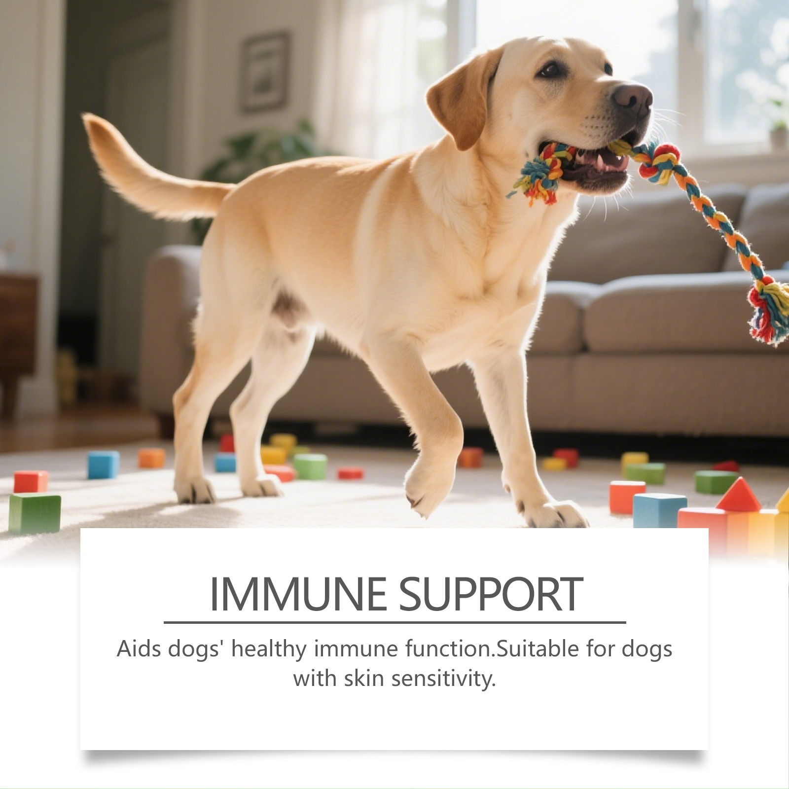 Kriath Cuidado Suave para o Corpo e a Pele do Seu Cão - Suplemento Diário em Gotas, Confortável e Ideal para o Cuidado da Pele._voghion.com