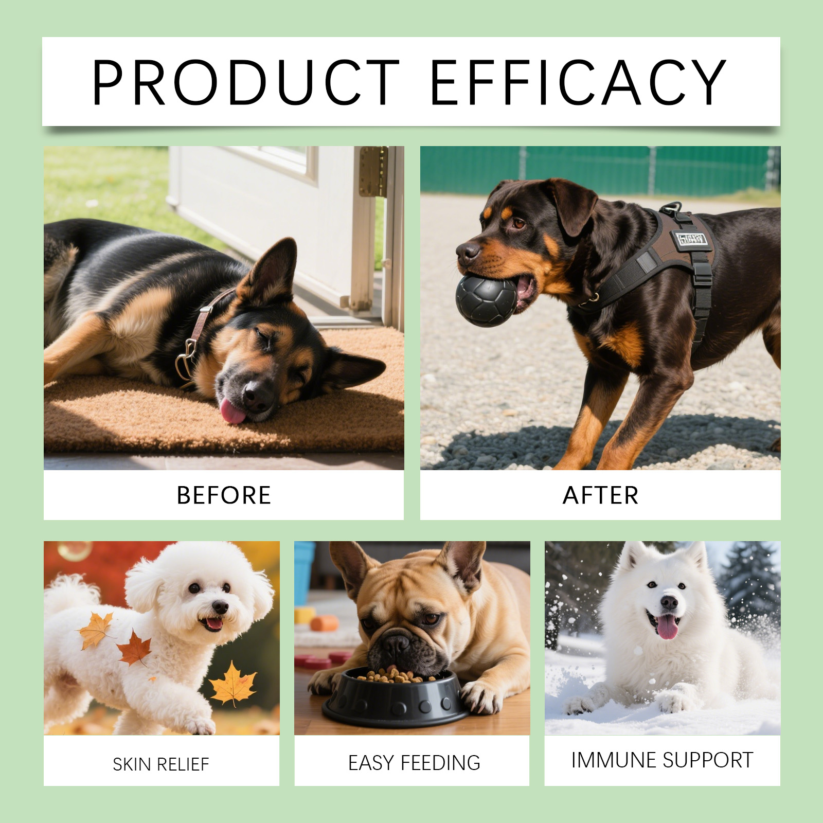 Kriath Cuidado Suave para o Corpo e a Pele do Seu Cão - Suplemento Diário em Gotas, Confortável e Ideal para o Cuidado da Pele._voghion.com