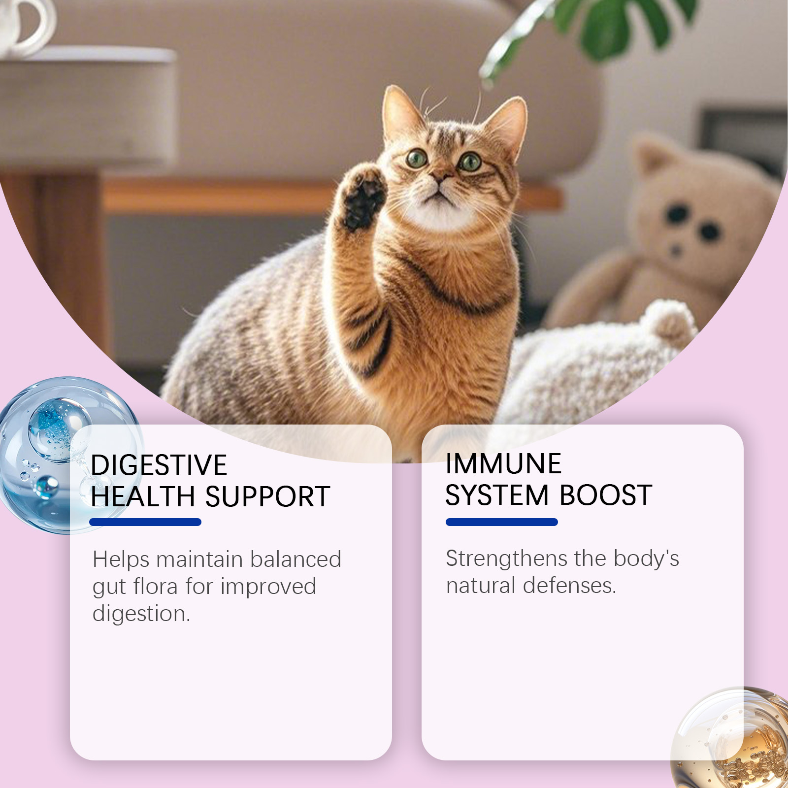 Kriath Probiotic Gentle For Intestines Daily Cat Body Care Drops_voghion.com