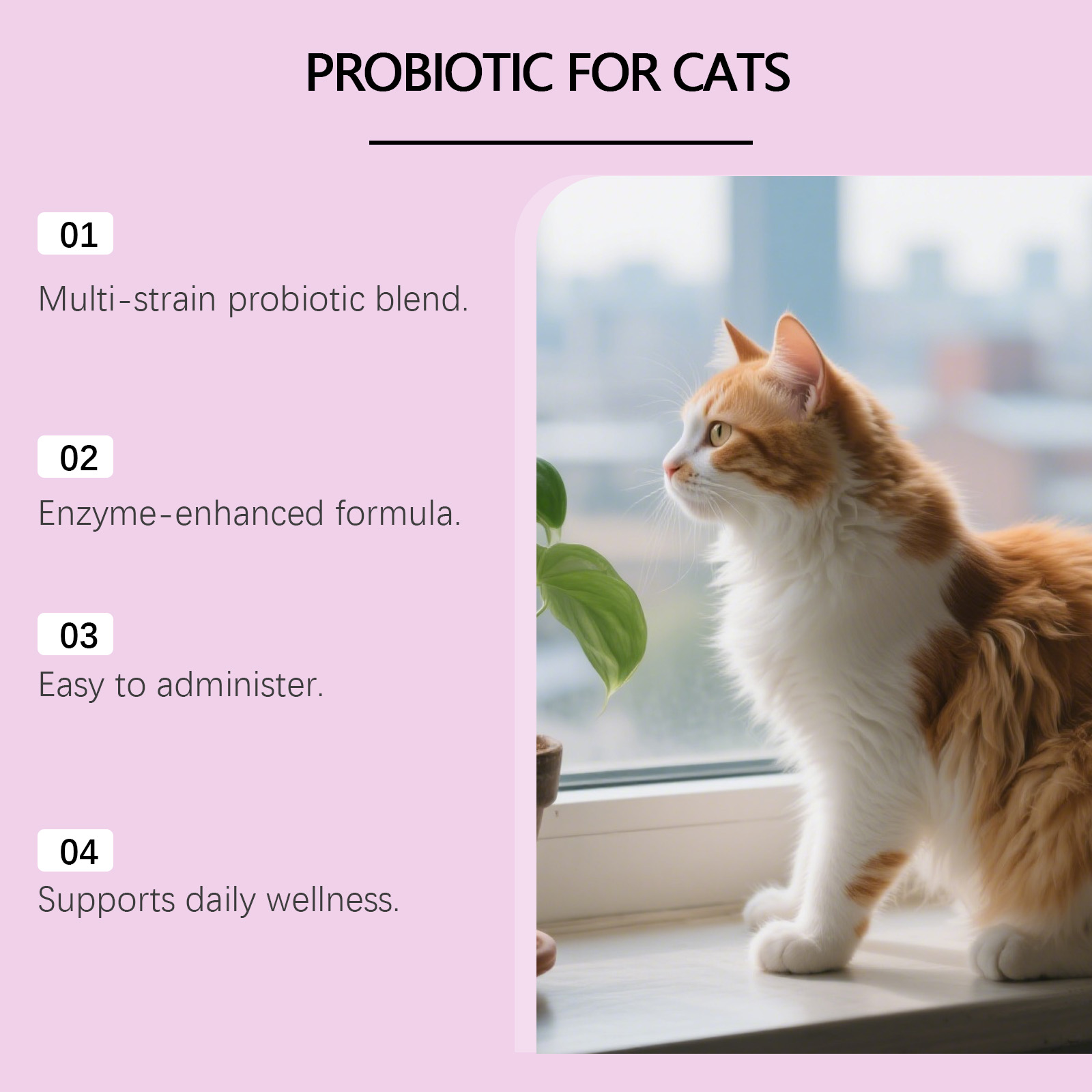 Kriath Probiotic Gentle For Intestines Daily Cat Body Care Drops_voghion.com