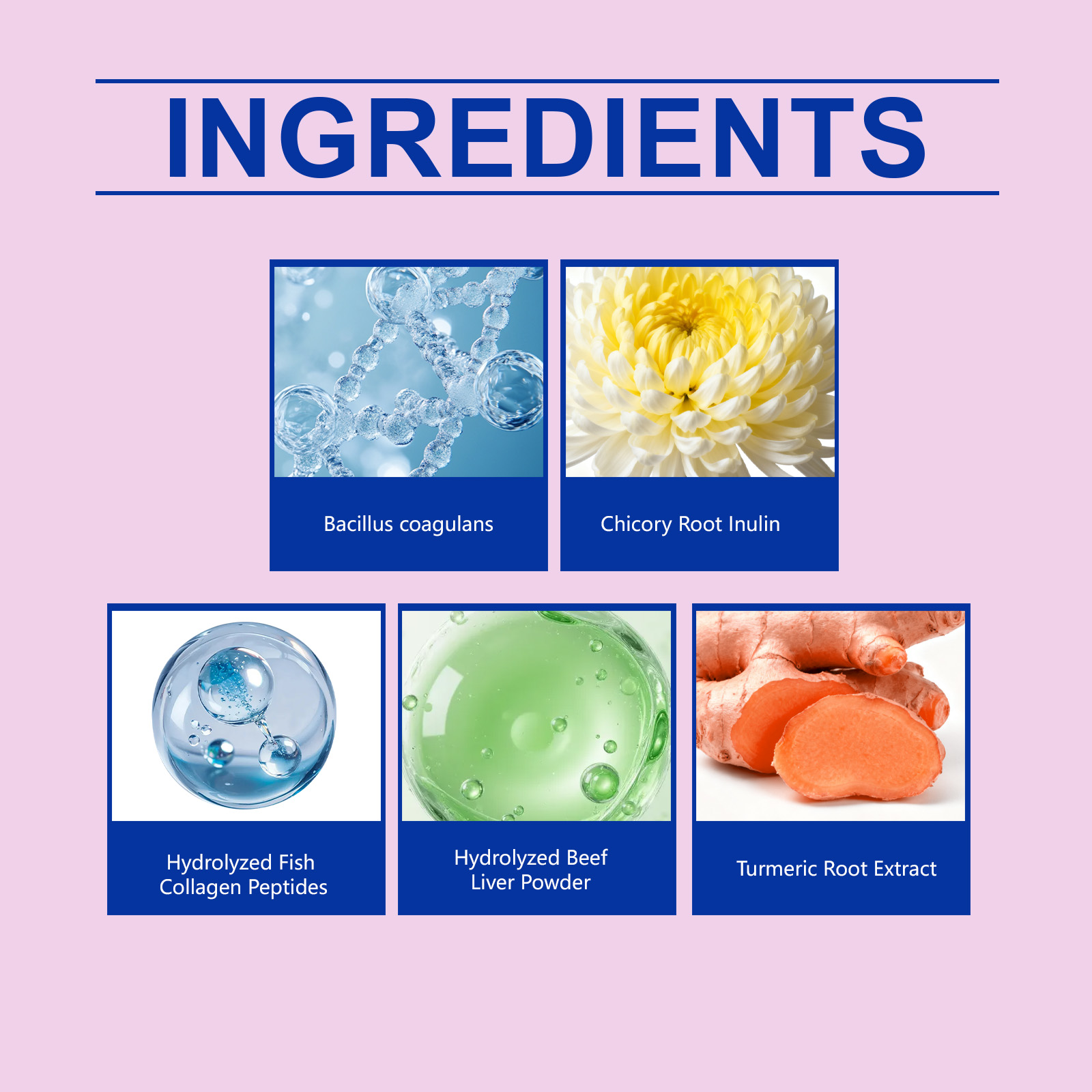 Kriath Probiotic Gentle For Intestines Daily Cat Body Care Drops_voghion.com