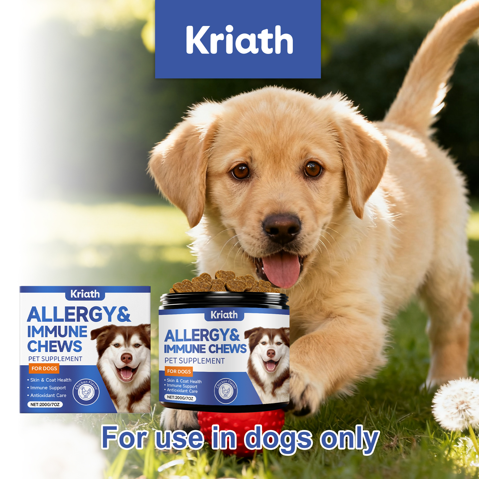 Kriath Dog: Grânulos macios, suaves e nutritivos para o cuidado da pele do seu pet._voghion.com