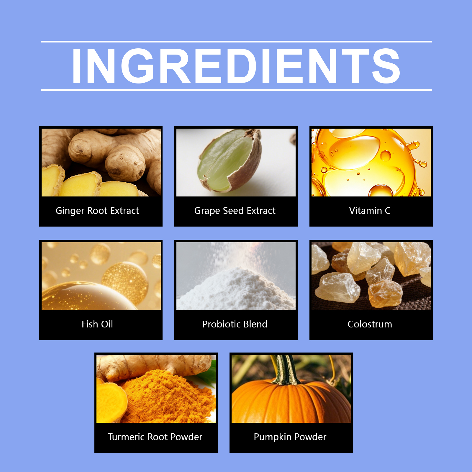 Kriath Dog: Grânulos macios, suaves e nutritivos para o cuidado da pele do seu pet._voghion.com